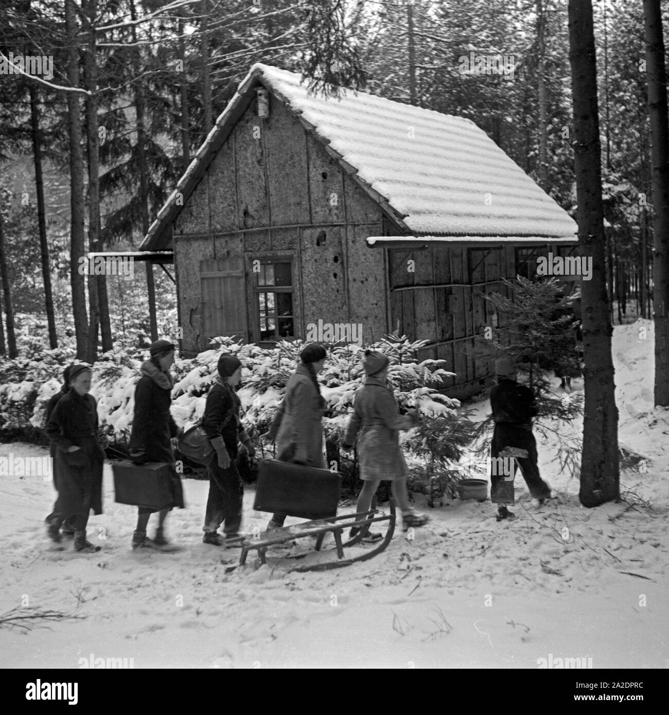 Eine Gruppe von Mädchen kommt bei einer verschneiten Waldhütte mit Koffern und Christbaum an, Deutschland 1930er Jahre. A group of girls arriving at a snowy hut with suitcases and their Christmas tree, Germany 1930s. Stock Photo