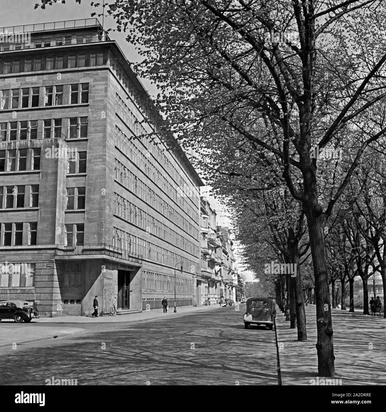 Trees hamburg Black and White Stock Photos & Images - Alamy