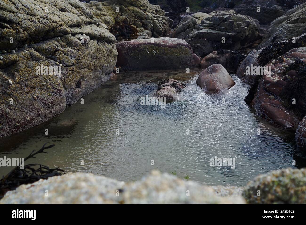 Rock pool, Scottish beach Stock Photo
