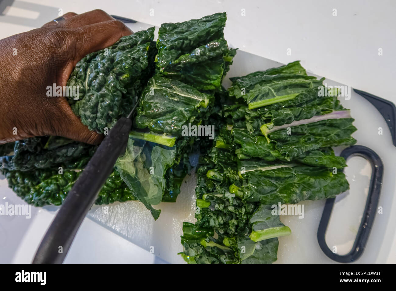 Cavolo nero being prepared in a kitchen environment Stock Photo