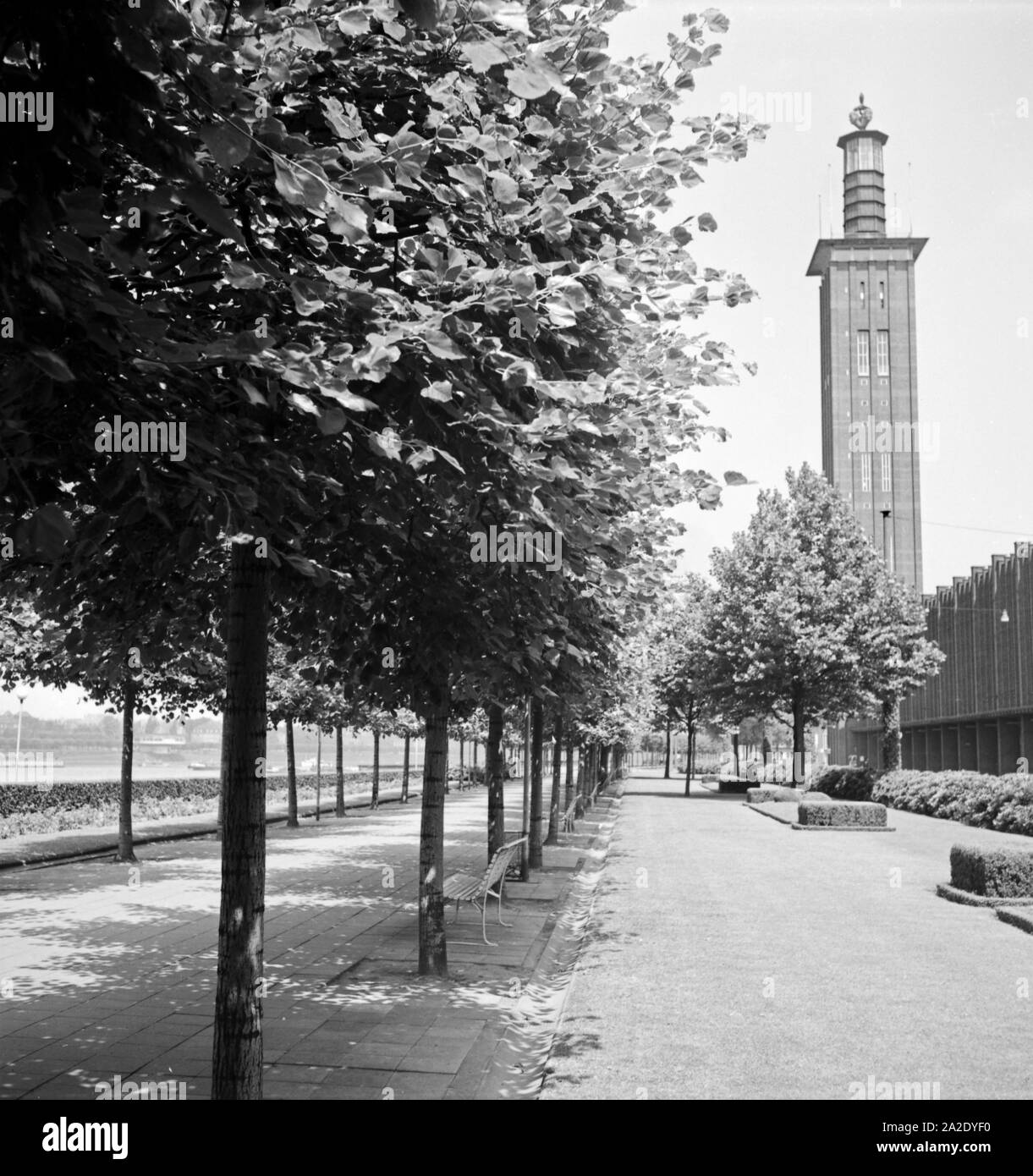 Rheinufer mit Messehallen und Messeturm in Köln Deutz, 1930er Jahre. Shore of river Rhine with Cologne fair buildings and tower, 1930s. Stock Photo