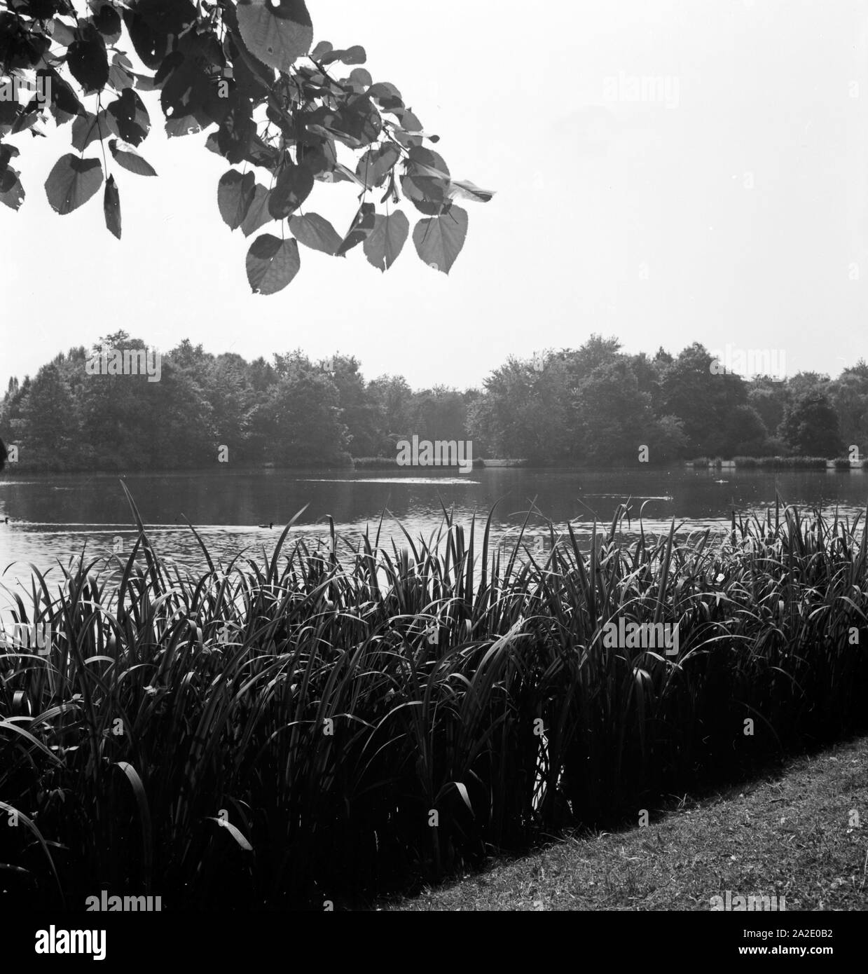 Ein Park in Chemnitz, Deutschland 1930er Jahre. A public garden at Chemnitz, Germany 1930s. Stock Photo