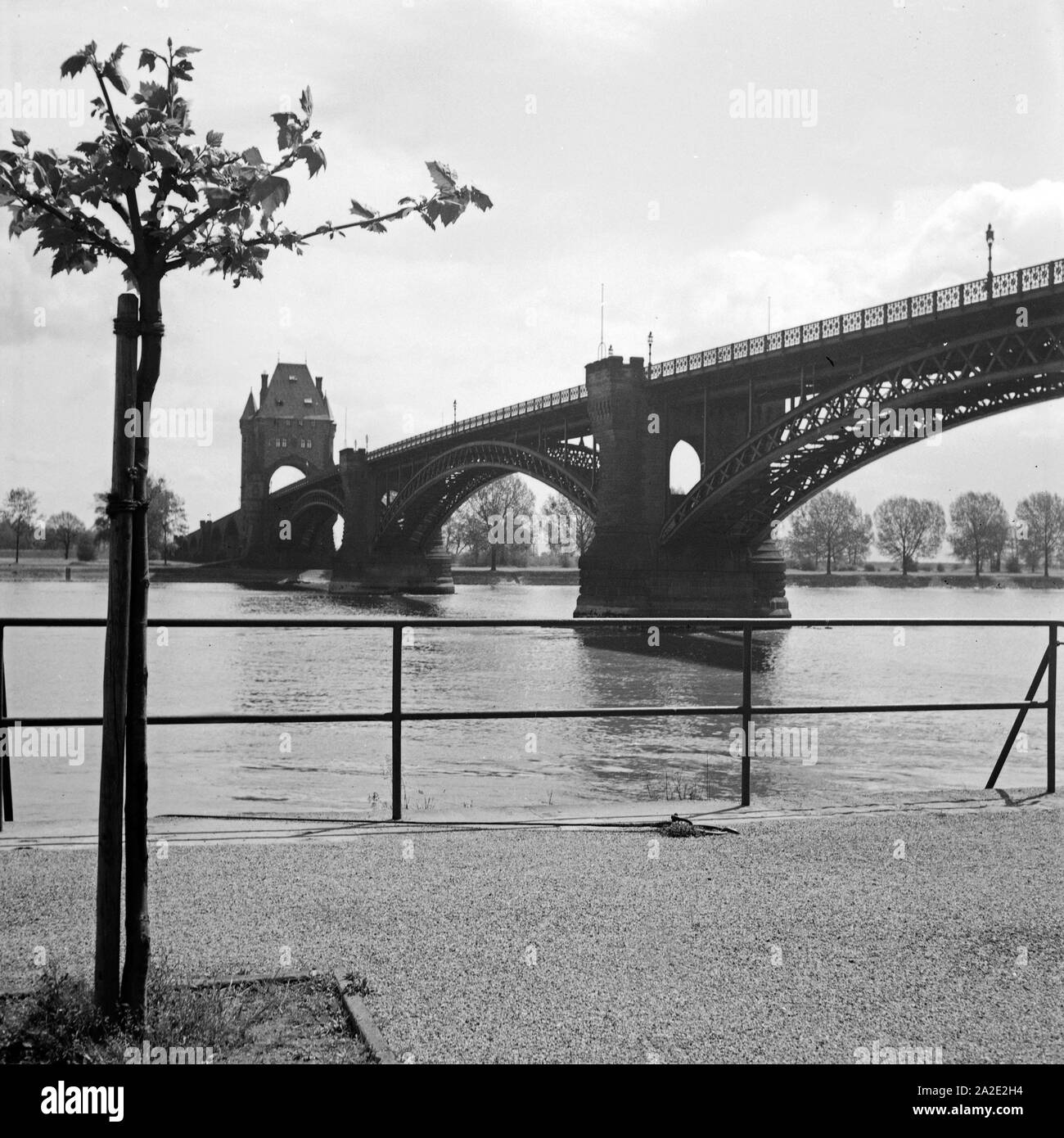 Die Ernst Ludwig Brücke über den Rhein in Worms, Deutschland 1930er Jahre. The Ernst Ludwig bridge over the river Rhine at Worms, Germany 1930s. Stock Photo