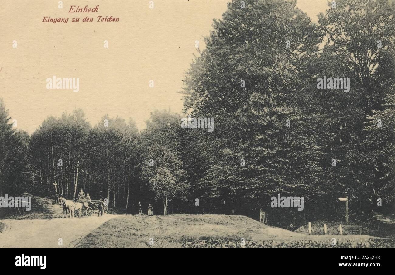 Teichen hires stock photography and images Alamy