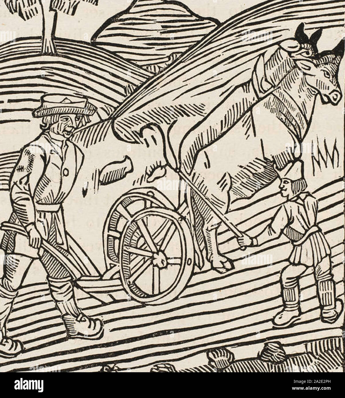PLOUGHING in a 16th century German woodcut Stock Photo