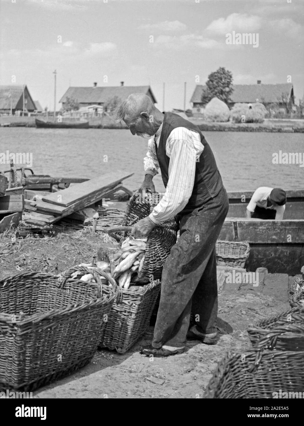 Ein Fischer beim Sortieren des Fangs in Karkeln im Memeldelta, Ostpreußen, 1930er Jahre. Fisherman sorting his  fisheries at Karkeln in the Memel delta, East Prussia, 1930s. Stock Photo