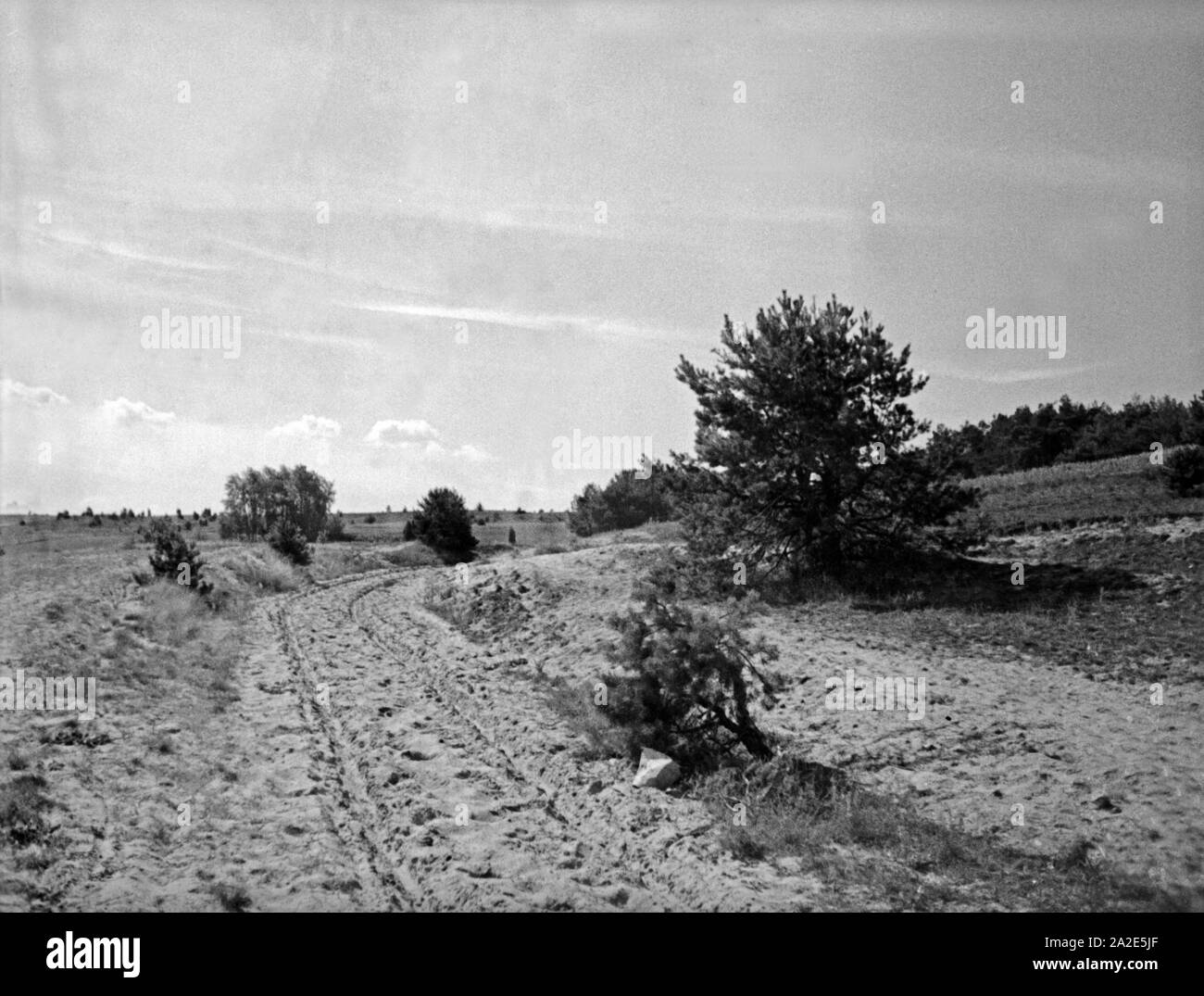 Die Landschaft der Kaporner Heide im südlichen Samland, Ostpreußen, 1930er Jahre. Landscape of Die Landschaft der Kaporner Heide im südlichen Samland, Ostpreußen, 1930er Jahre. Landscape of
