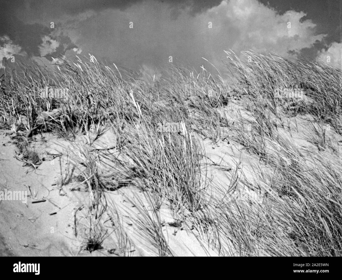 Düne an der Ostsee in Ostpreußen, 1930er Jahr. Dune at the beach of the Baltic Sea, East Prussia, 1930s. Stock Photo