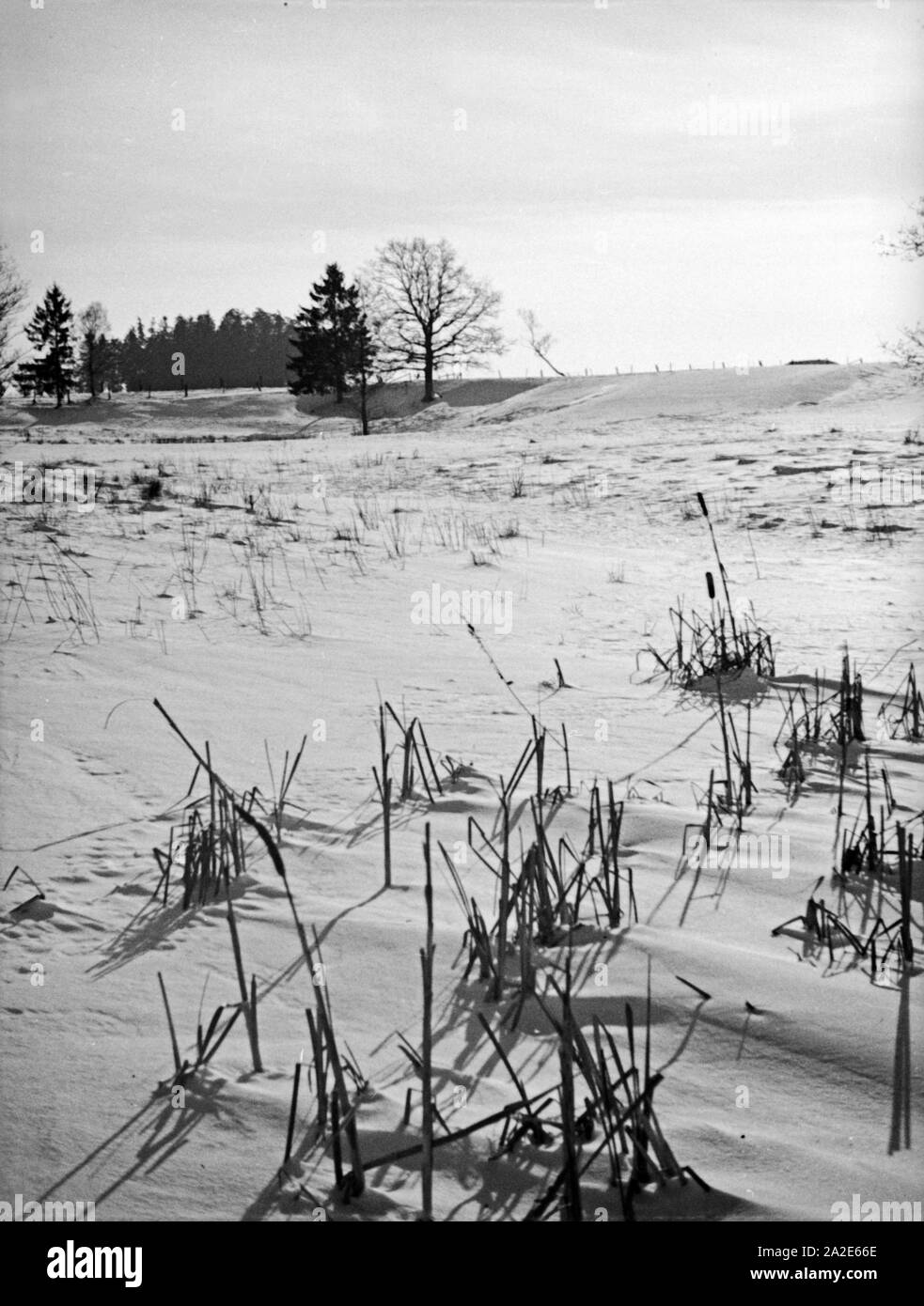 Winterlandschaft in Ostpreußen, 1930er Jahre. Wintertime landscape at East Prussia, 1930s. Stock Photo