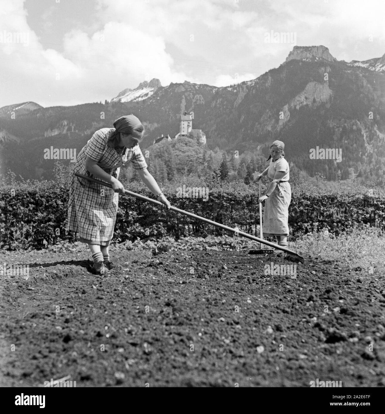 Frauen helfen auf einem Bauernhof im Rahmen des Frauenarbeitsdienstes in Hohenaschau im Chiemgau, Deutschland 1930er Jahre. Women helping at a farm at Hohenaschau, Germany 1930s. Stock Photo
