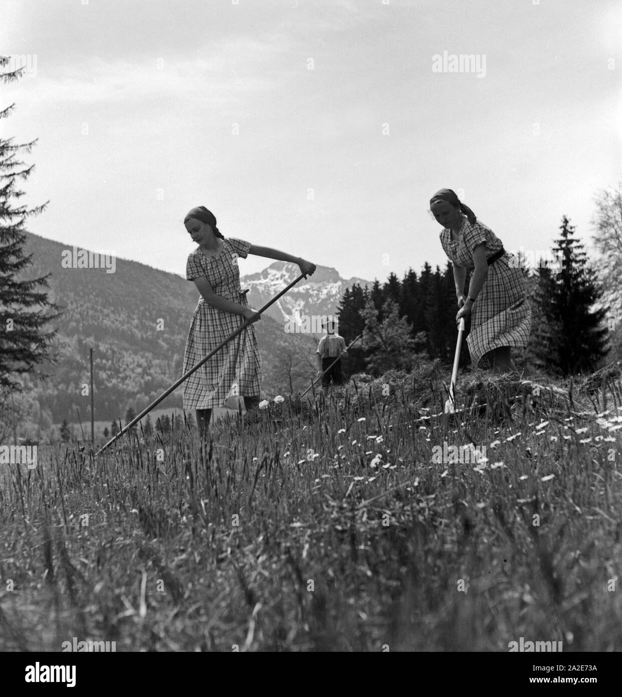 Frauen bei der Feldarbeit im Rahmen des Frauenarbeitsdienstes in Hohenaschau im Chiemgau, Deutschland 1930er Jahre. Women helping at a farm at Hohenaschau, Germany 1930s. Stock Photo