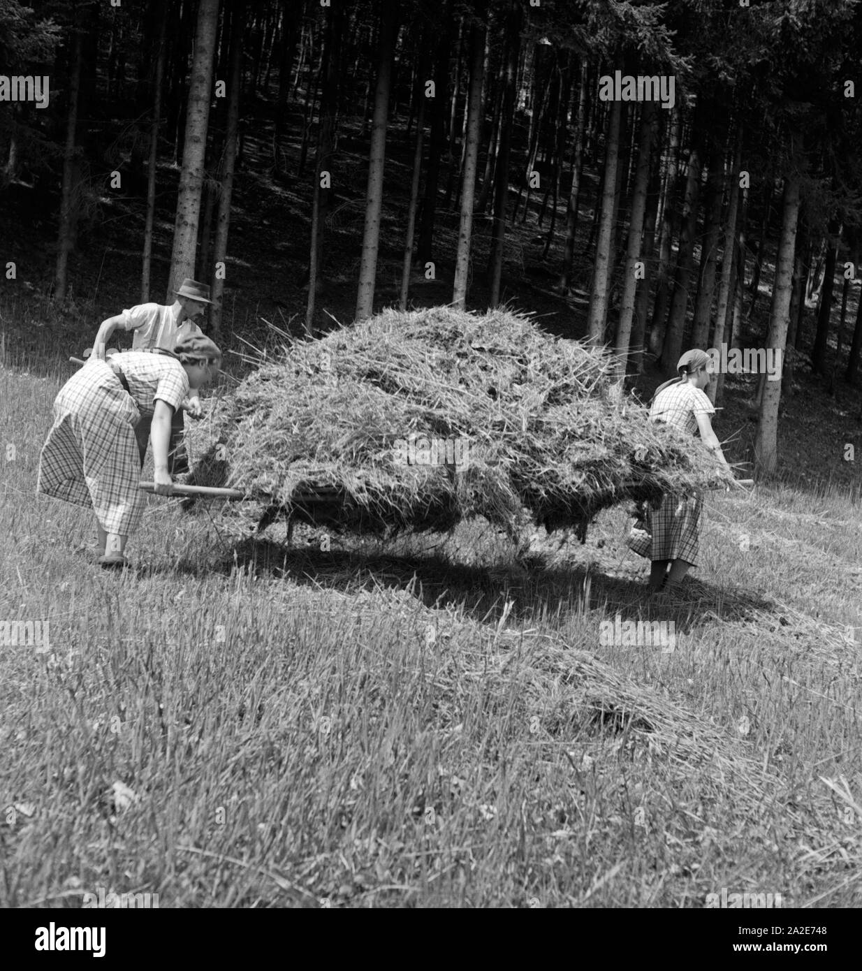 Frauen mit einer Ladung Heu im Rahmen des Frauenarbeitsdienstes in Hohenaschau im Chiemgau, Deutschland 1930er Jahre. Women carrying a load of hay at Hohenaschau, Germany 1930s. Stock Photo