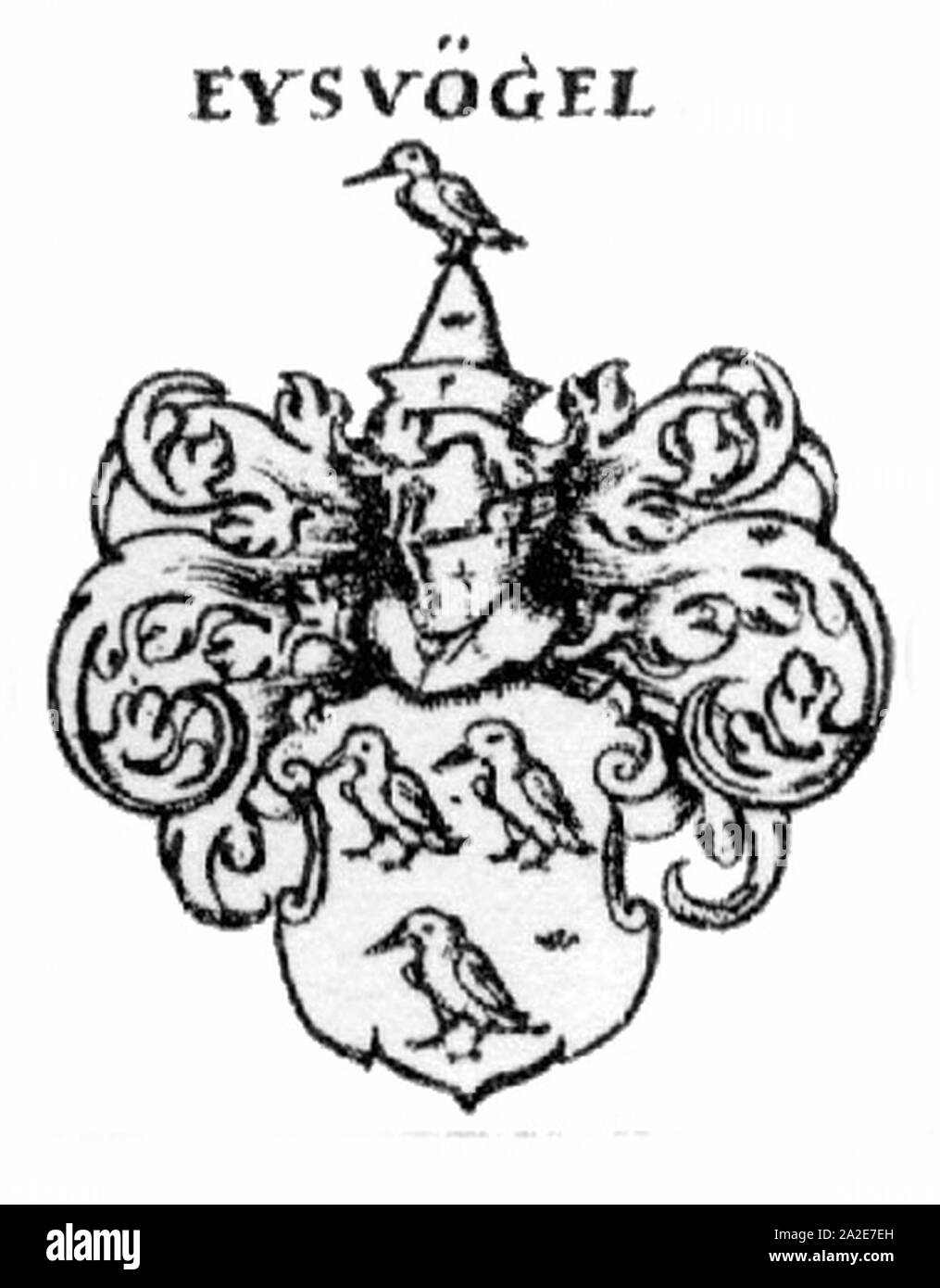 Eisvogel Siebmacher157 - 1703 - Patrizier Nürnberg. Stock Photo