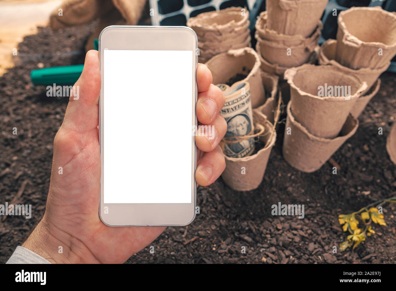 Organic farmer with smartphone mock up, modern mobile phone device in male hand with blank screen as copz space Stock Photo