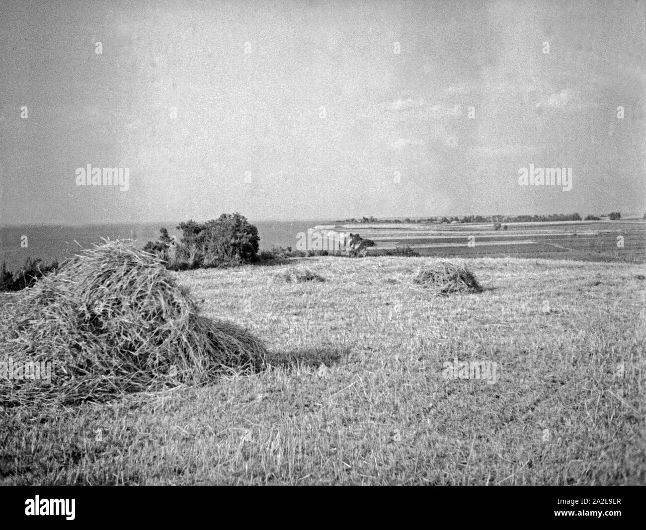 Landschaft bei Kahlholz am Frischen Haff in Ostpreußen, 1930er Jahre. Landscape near Kahlholz at Vistula Lagoon, East Prussia, 1930s. Stock Photo