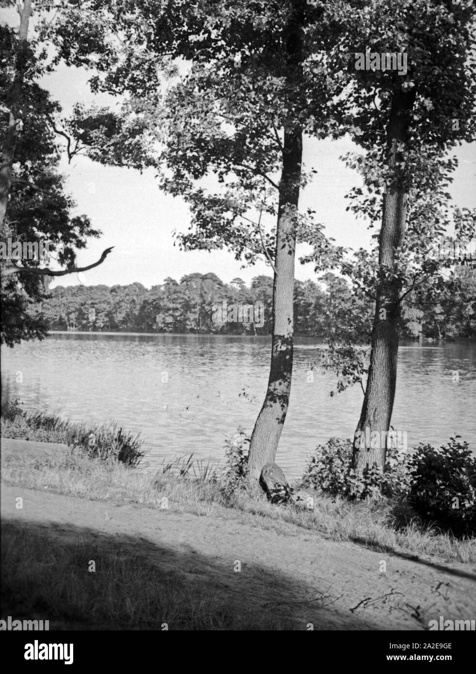 Partie bei Danzig Heubude, 1930er Jahre. View to the parks of Gdansk Heubude, 1930s. Stock Photo