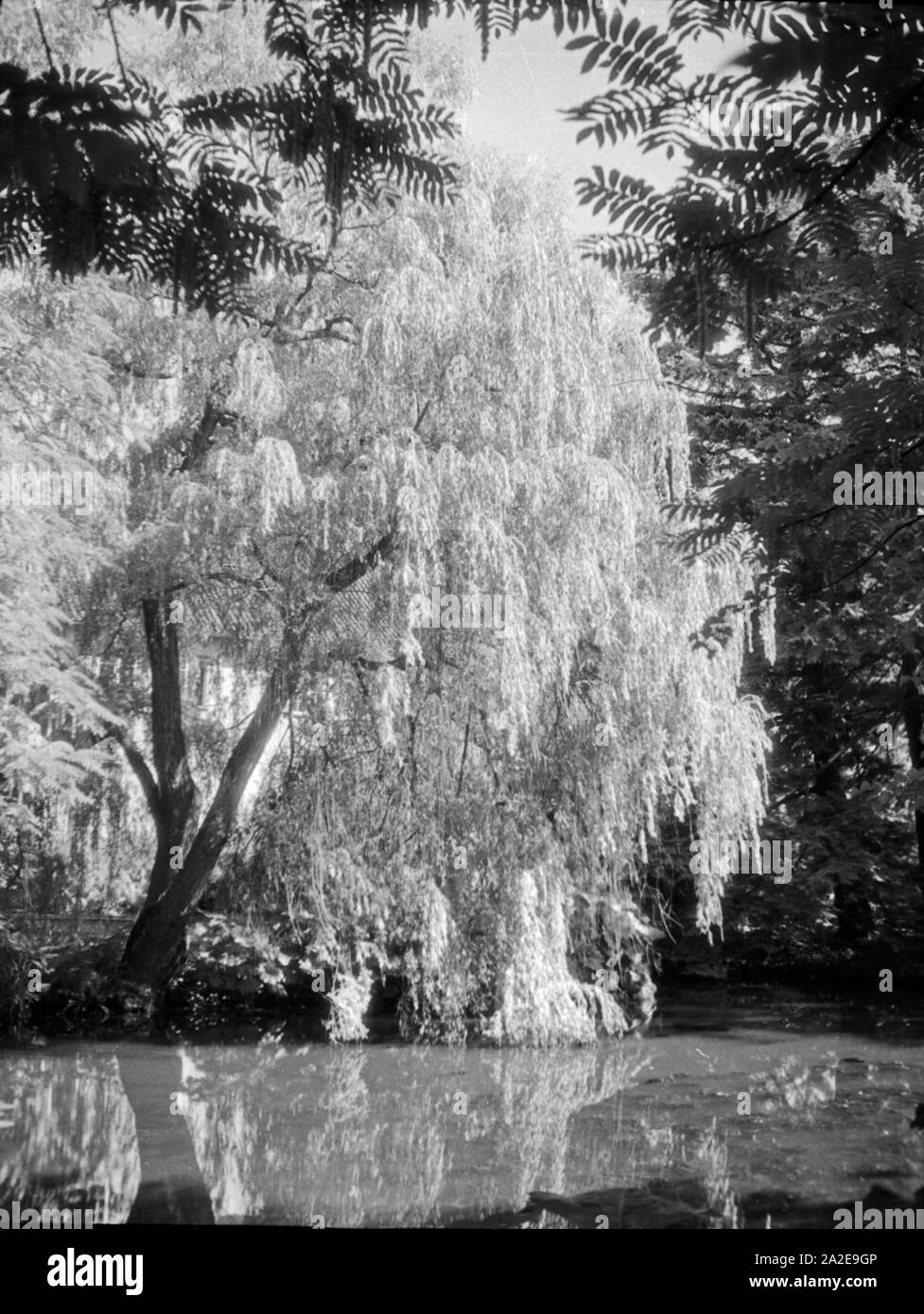 Anlagen im Kurpark von Danzig Glettkau, 1930er Jahre. The health resort parks and gardens of Gdansk Glettkau, 1930s. Stock Photo