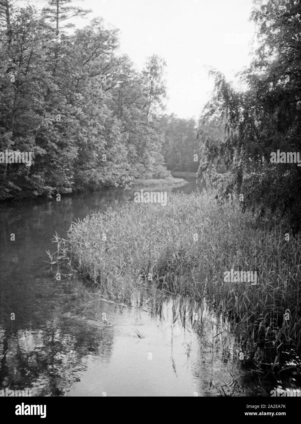 Der Fluß Krutinna fließt aus dem Krutinner See in Masuren, Ostpreußen, 1930er Jahre. River Krutinna leaving Krutinner See lake in Masuria, East Prussia, 1930s. Stock Photo