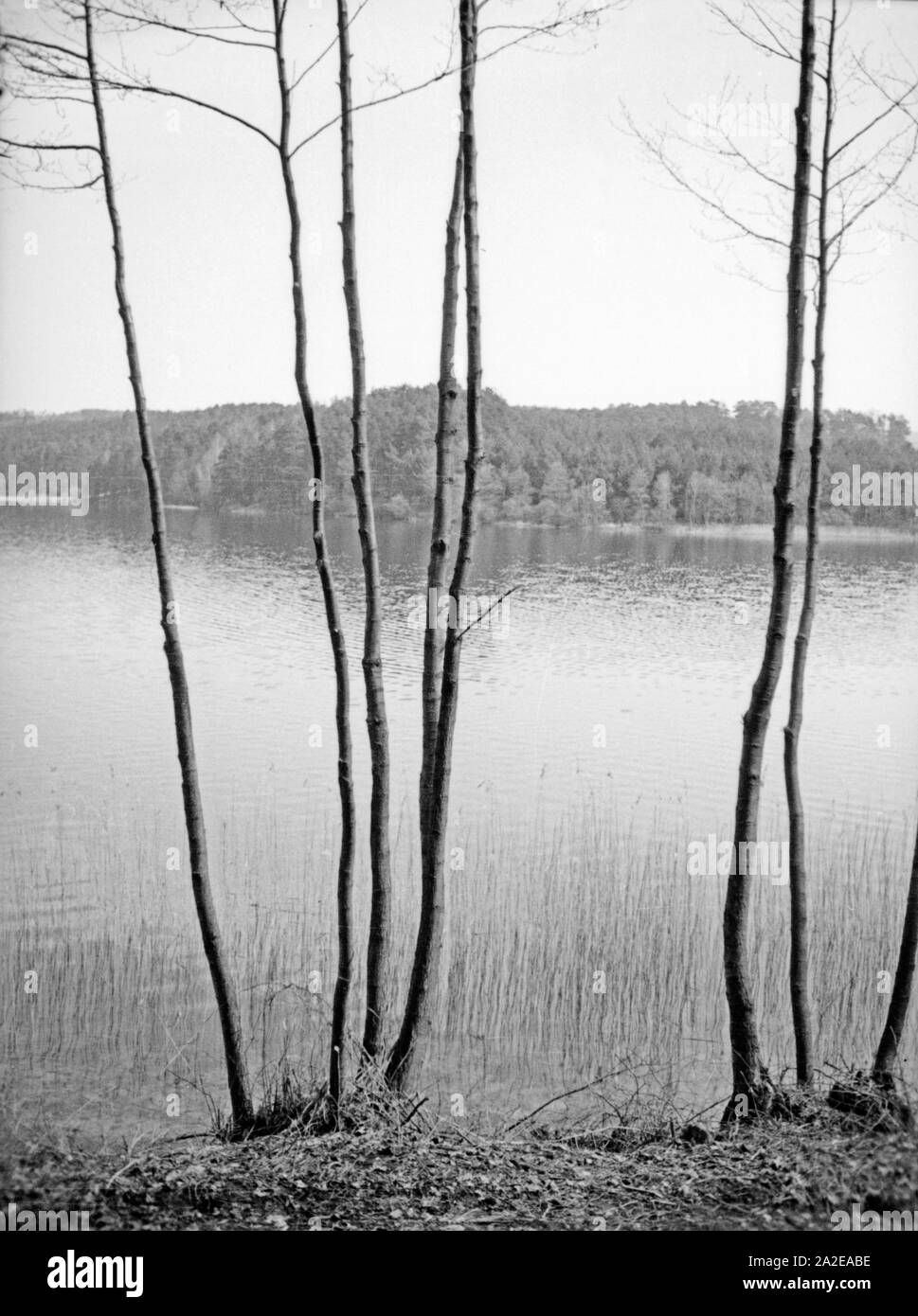 Landschaft in der Gegend um Treuburg in Masuren, Ostpreußen, 1930er Jahre. Landscape around Treuburg in Masuria, East Prussia, 1930s. Stock Photo