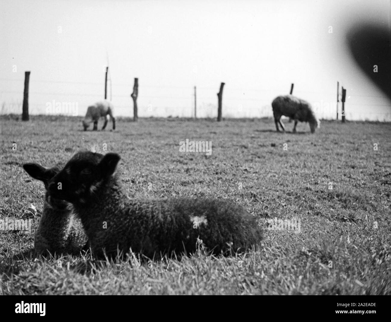 Primorsk Stock Photos Primorsk Stock Images Alamy