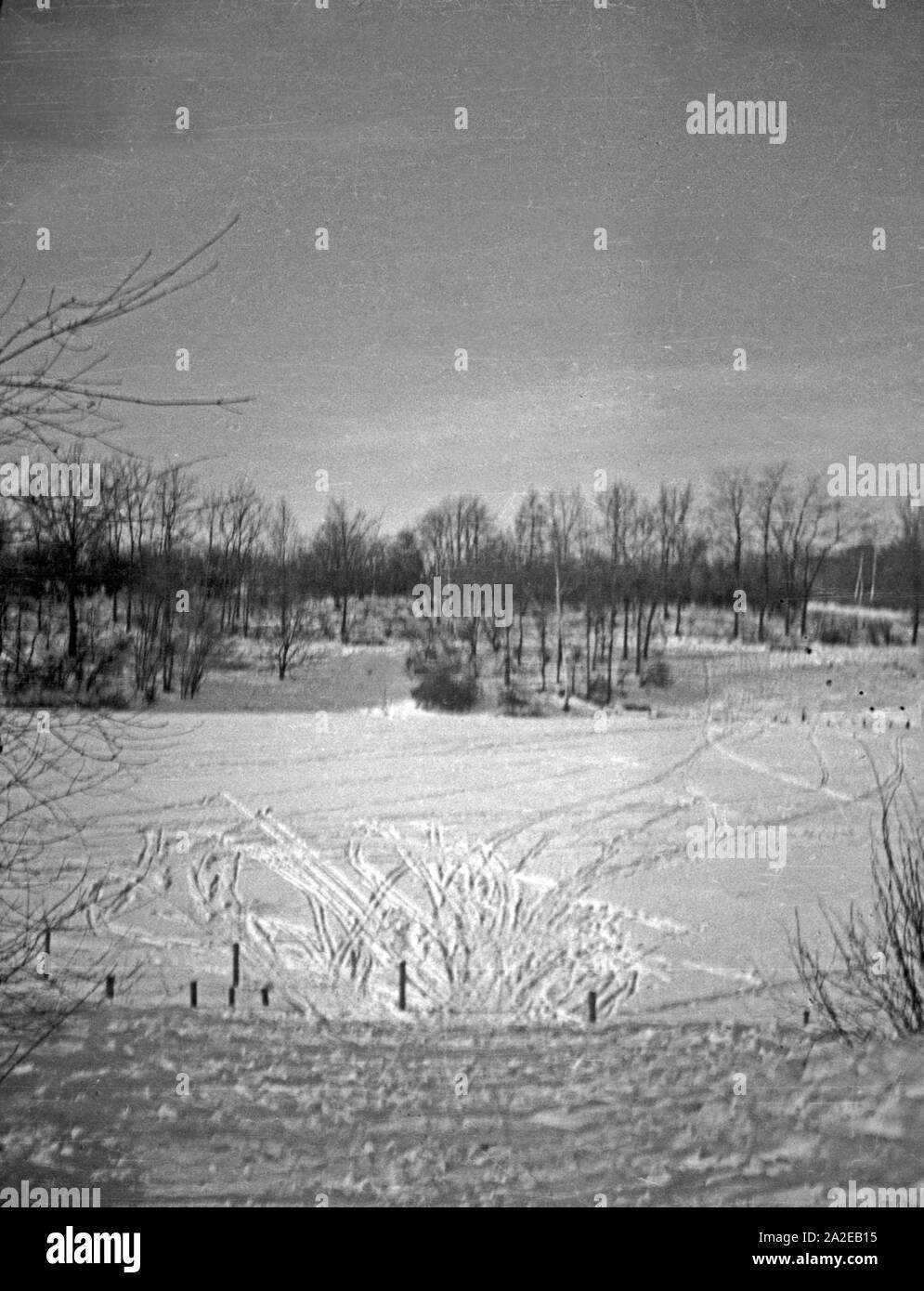 Winter in den Fürstenteich Anlagen in Königsberg, Ostpreußen, 1930er Jahre. Wintertime at Fürstenteich parks, at Koenigsberg, East Prussia, 1930s. Stock Photo