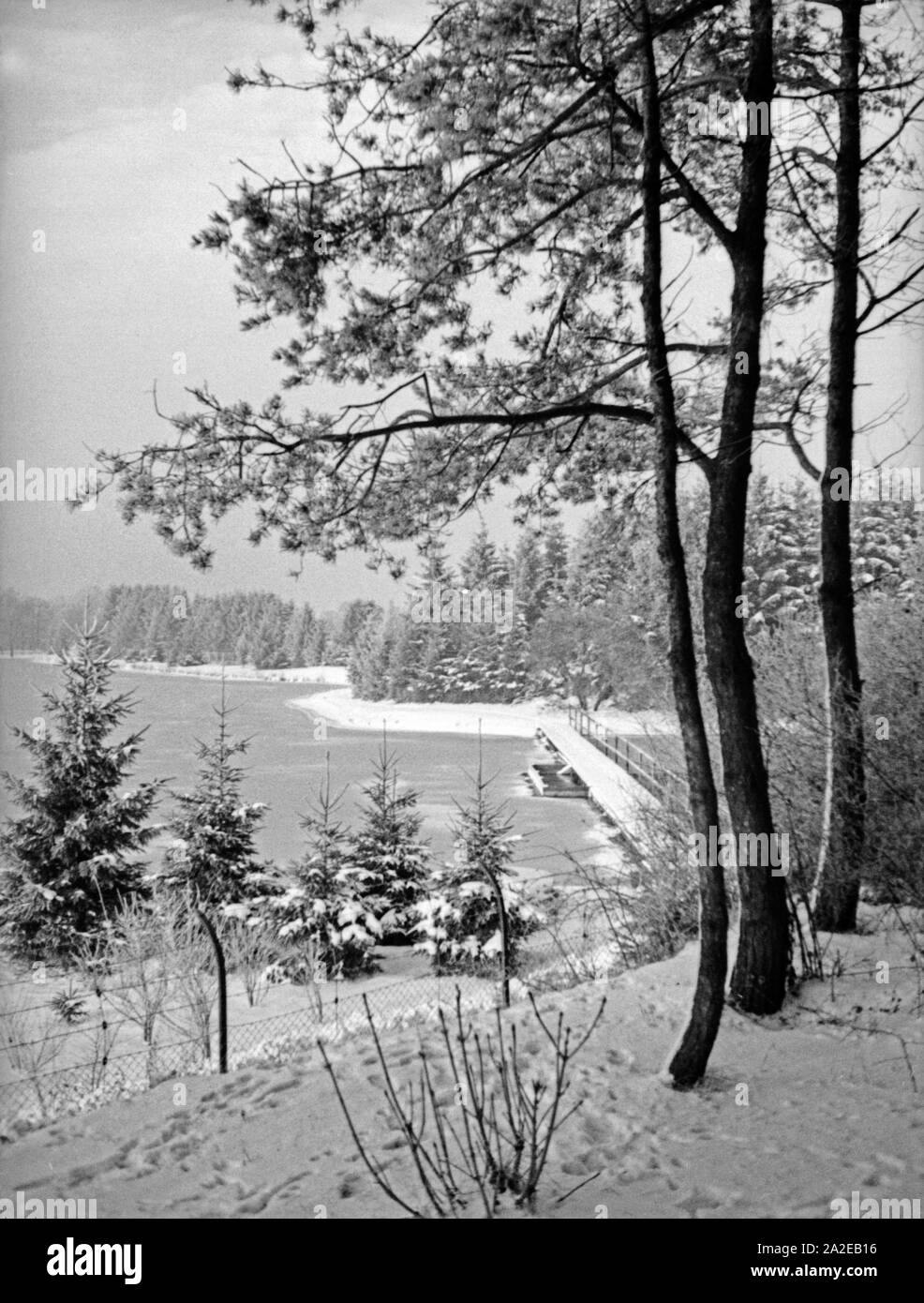 Winter in den Fürstenteich Anlagen in Königsberg, Ostpreußen, 1930er Jahre. Wintertime at Fürstenteich parks, at Koenigsberg, East Prussia, 1930s. Stock Photo