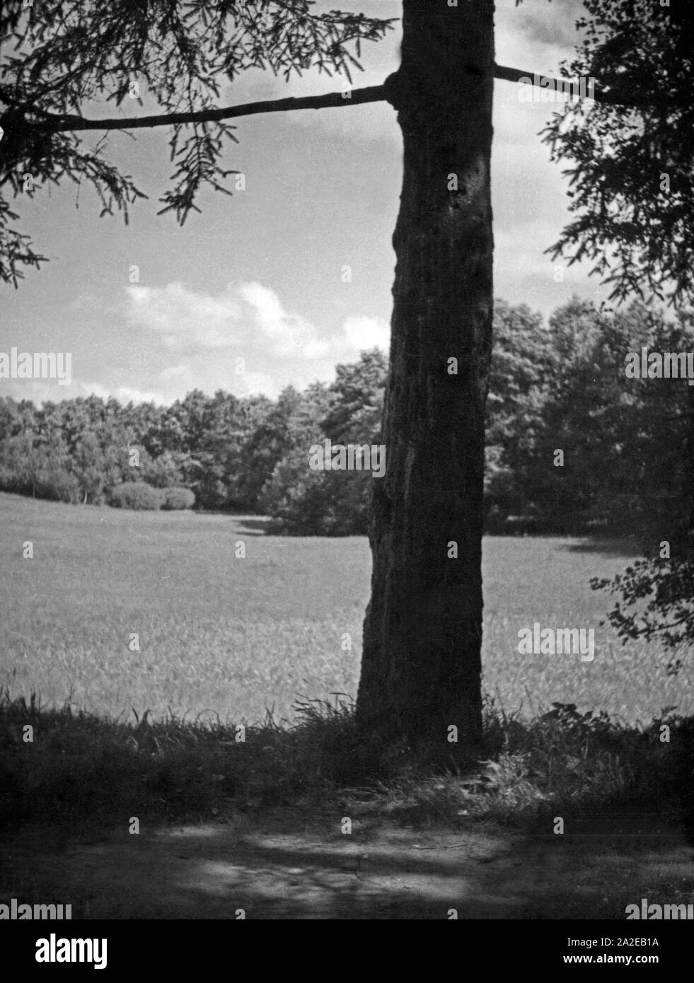 Am Füstenteich in Königsberg, Ostpreußen, 1930er Jahre. At Fuerstenteich pond, Koenigsberg, East Prussia, 1930s. Stock Photo