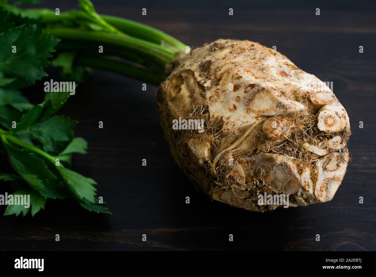 Celery Root with Stems and Leaves: Raw celeriac bulb with stems and leaves on a dark wood background Stock Photo