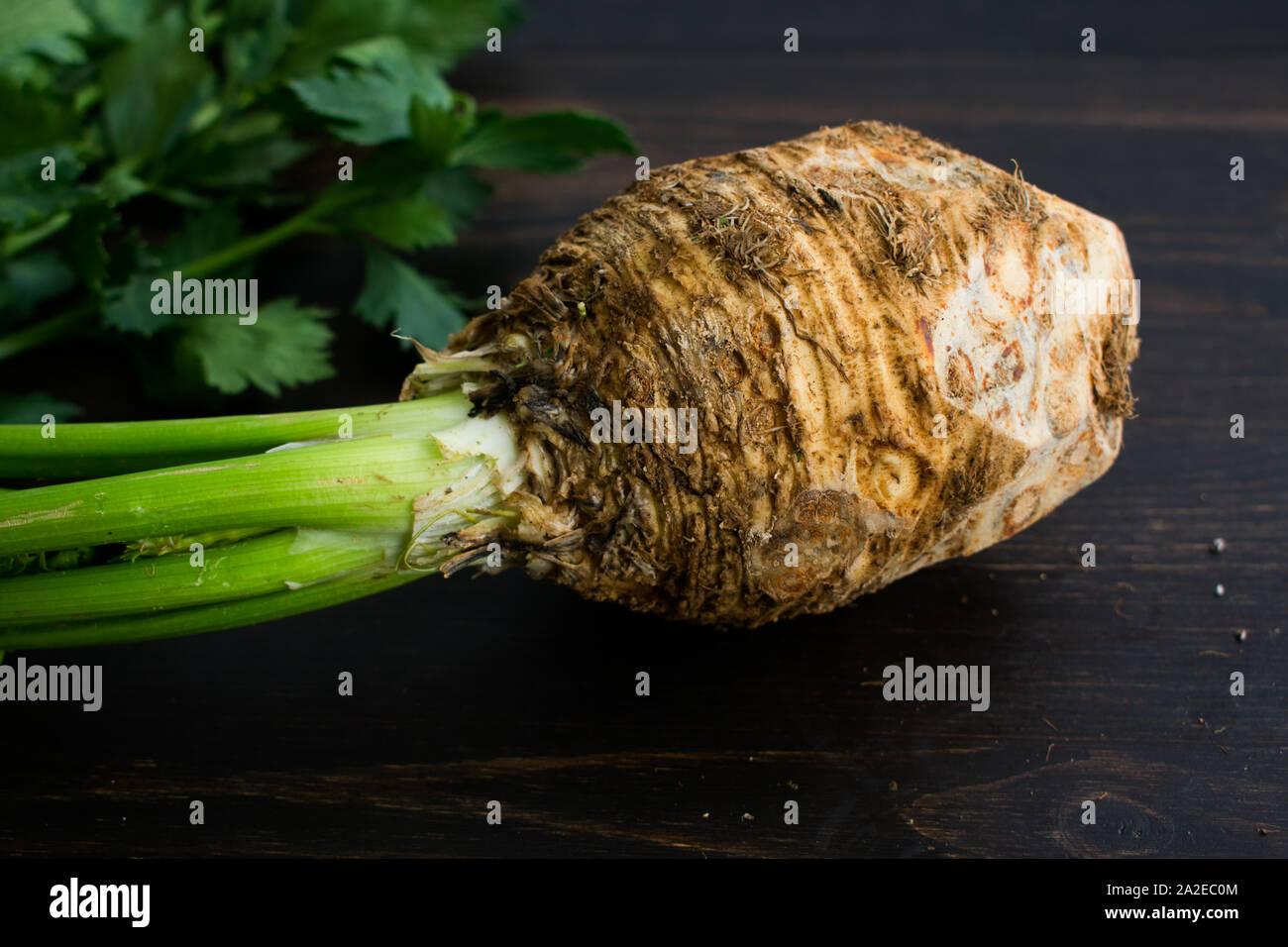 Celery bulb hires stock photography and images Alamy