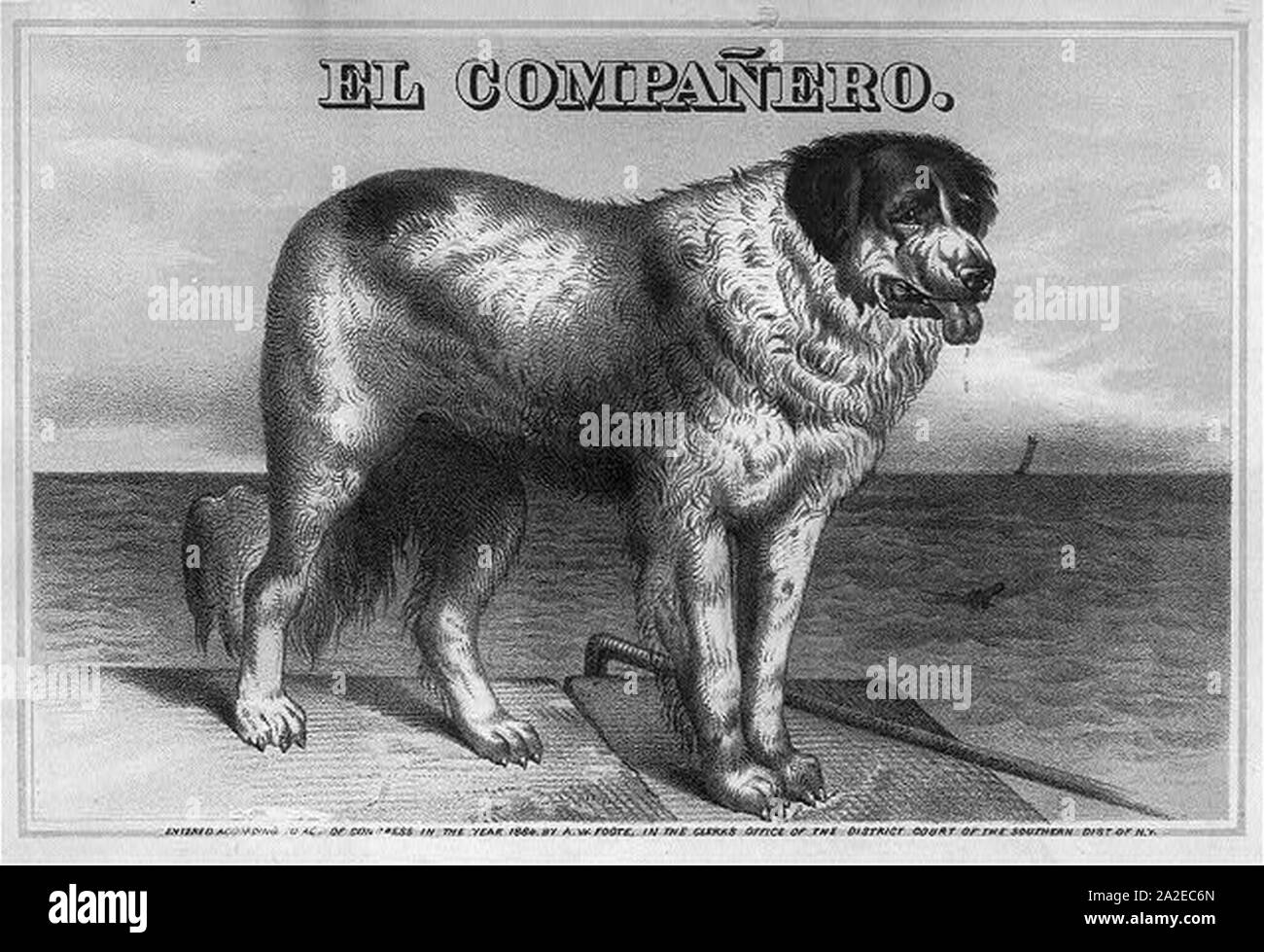 Compañero re hi-res stock photography and images - Alamy