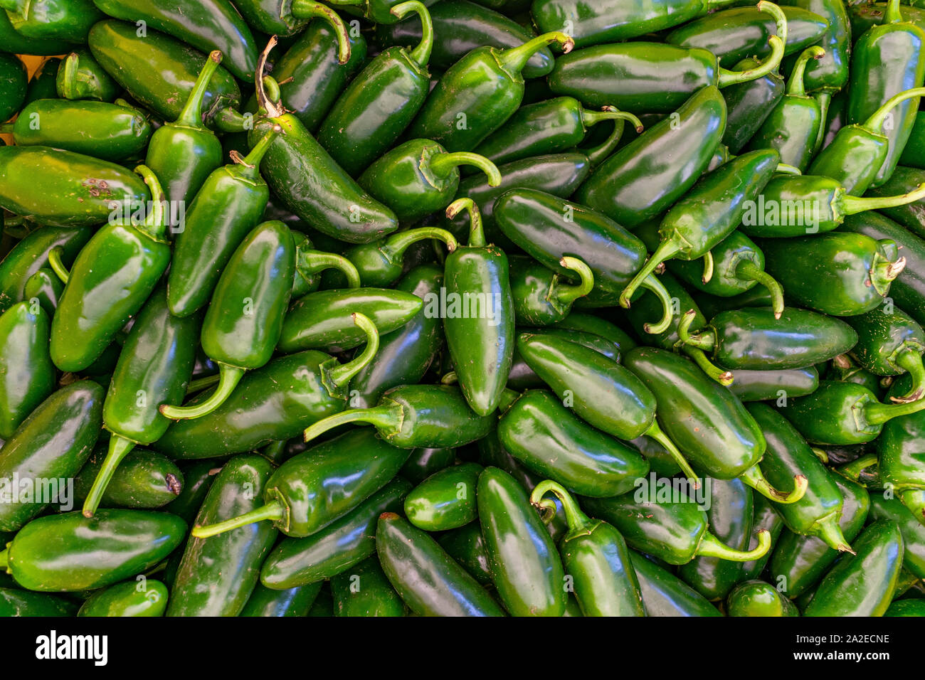 Pile of Jalapeno Peppers for Sale Stock Photo Alamy