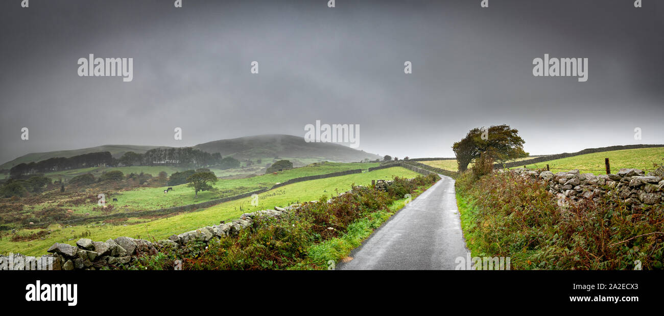 A wet and murky morning over Lowick Common in the South Lakes. Stock Photo