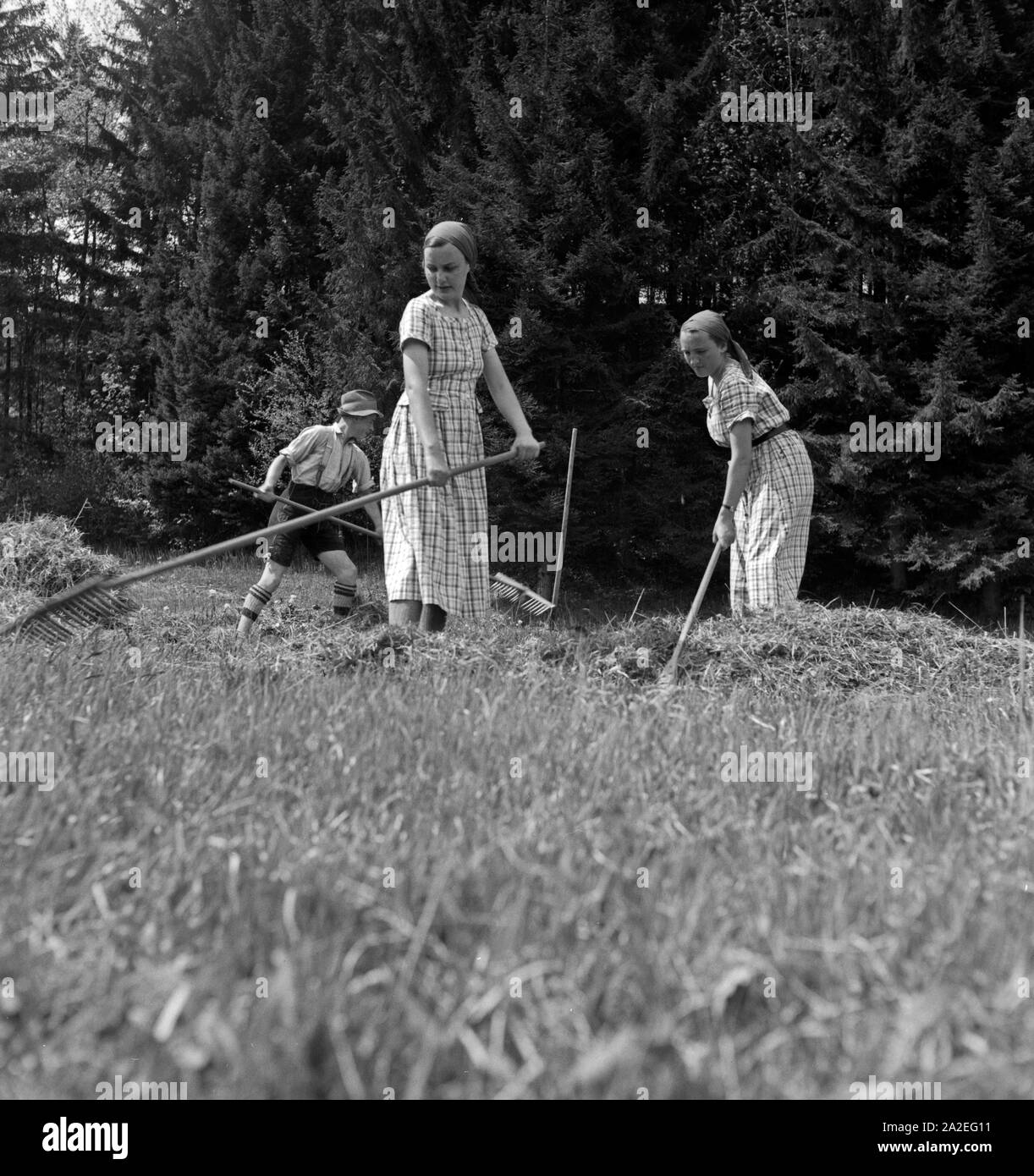 Frauen bei der Feldarbeit im Rahmen des Frauenarbeitsdienstes in Hohenaschau im Chiemgau, Deutschland 1930er Jahre. Women helping at a farm at Hohenaschau, Germany 1930s. Stock Photo