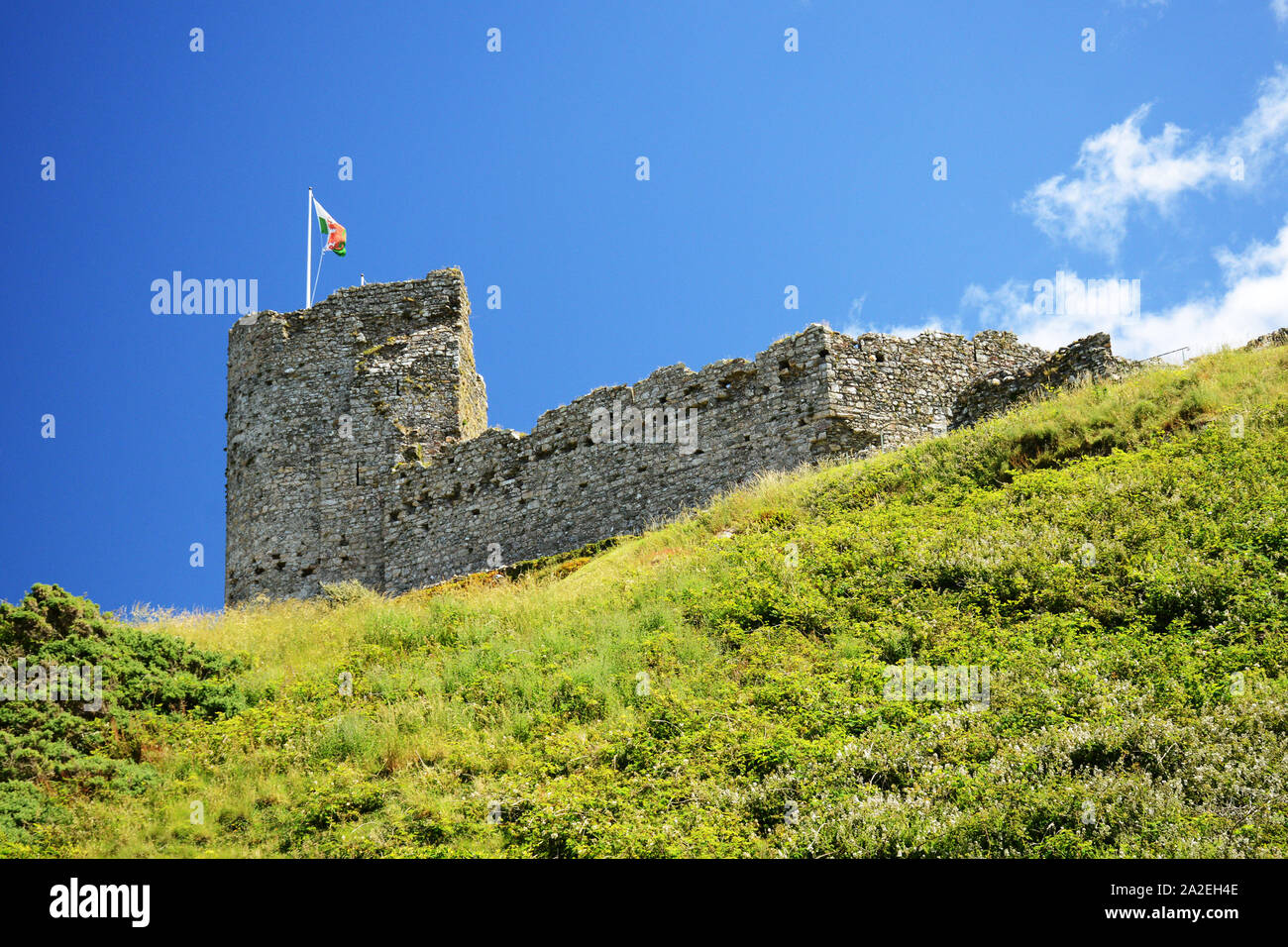 Criccieth Castle towering over the hill with Welsh flags flying in North Wales. Criccieth is a popular seaside resort on the Lleyn Peninsular. Stock Photo