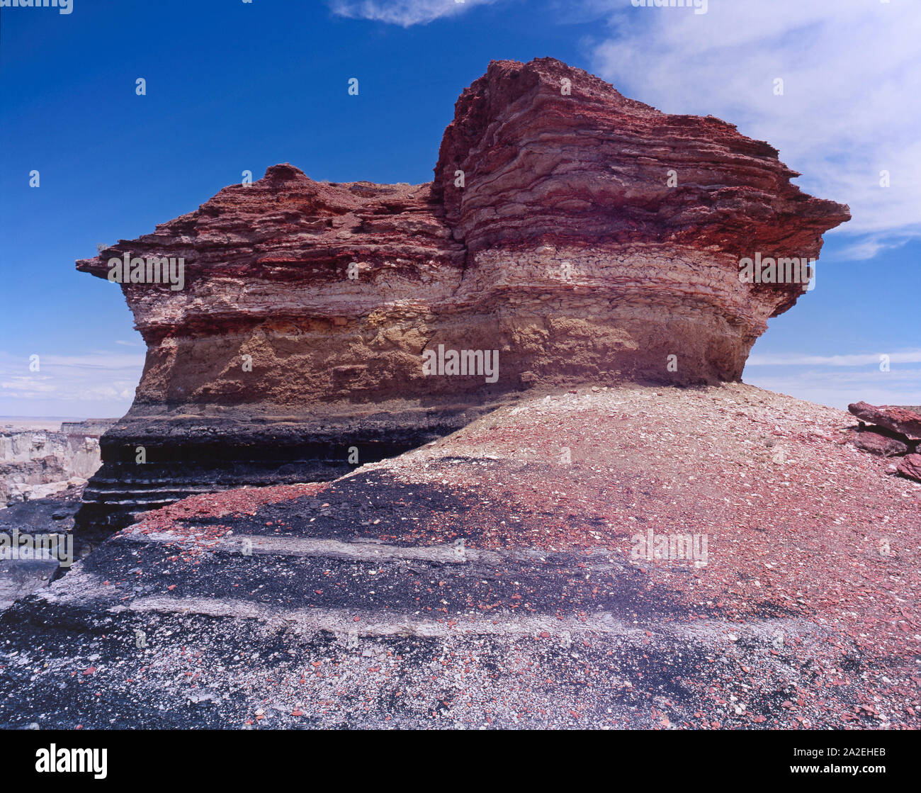 Tom the tuba hi-res stock photography and images - Alamy