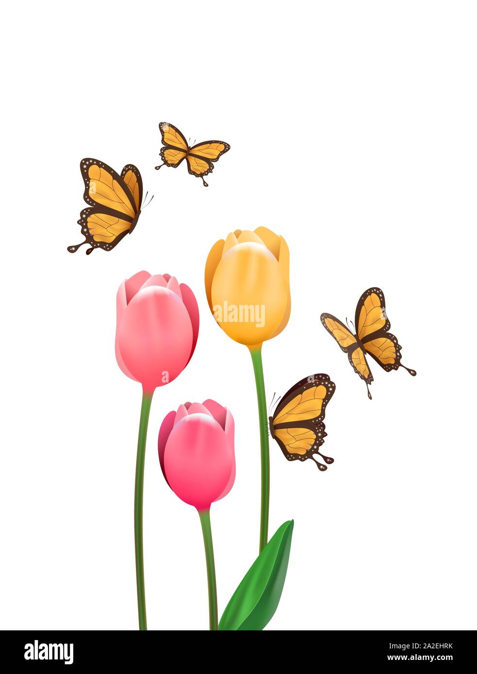 3d Butterfly Flower Clipart White Background Photo