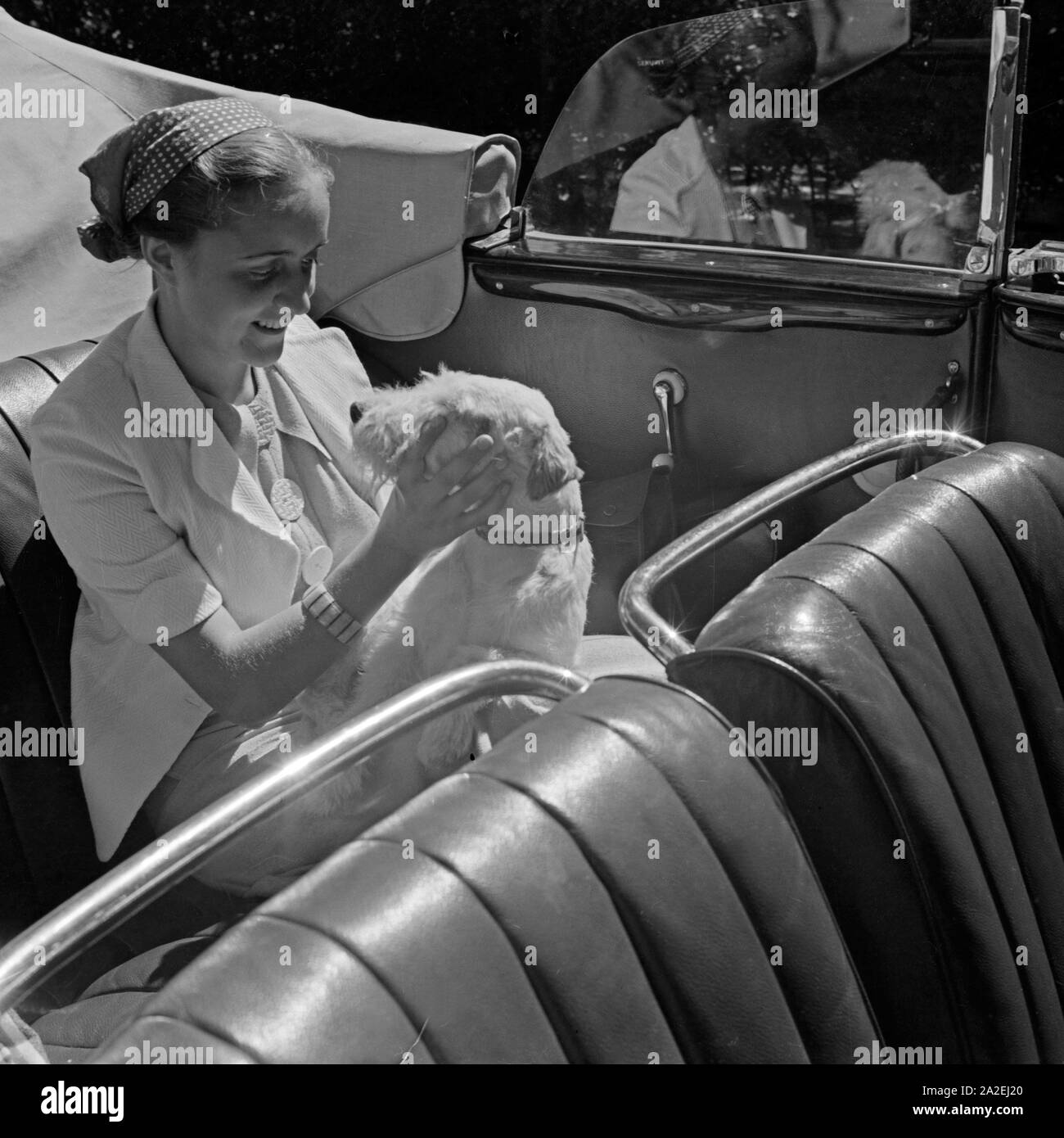 Back seat Black and White Stock Photos & Images - Alamy