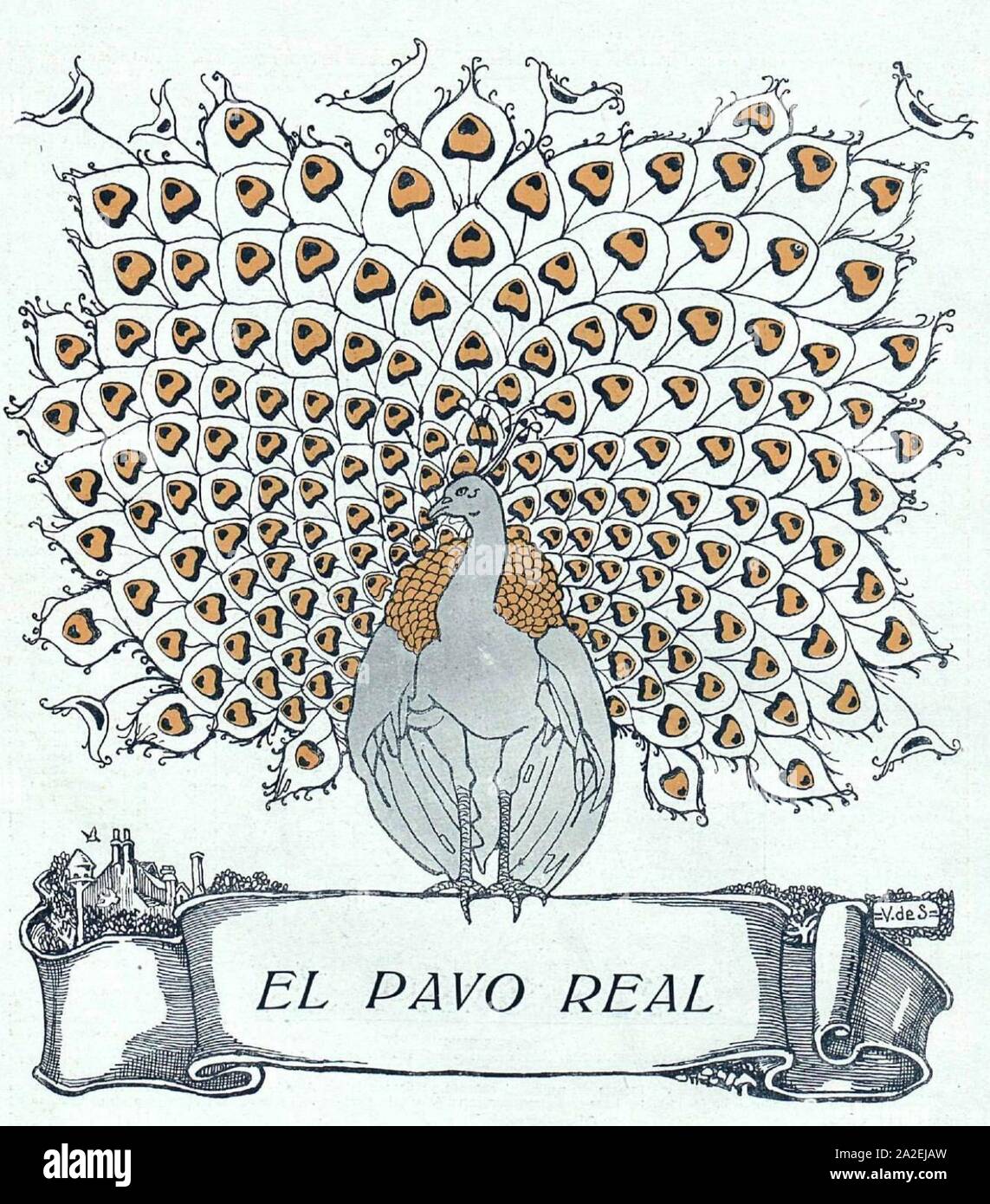 Pavo Real High Resolution Stock Photography And Images Alamy