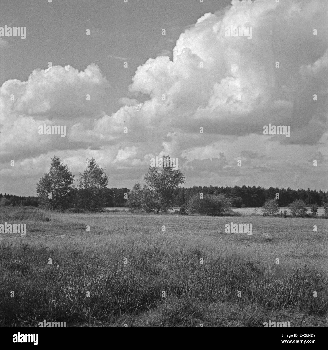 Blick in die Landschaft der Lüneburger Heide, Deutschland 1930er Jahre. View to the landscape of Blick in die Landschaft der Lüneburger Heide, Deutschland 1930er Jahre. View to the landscape of