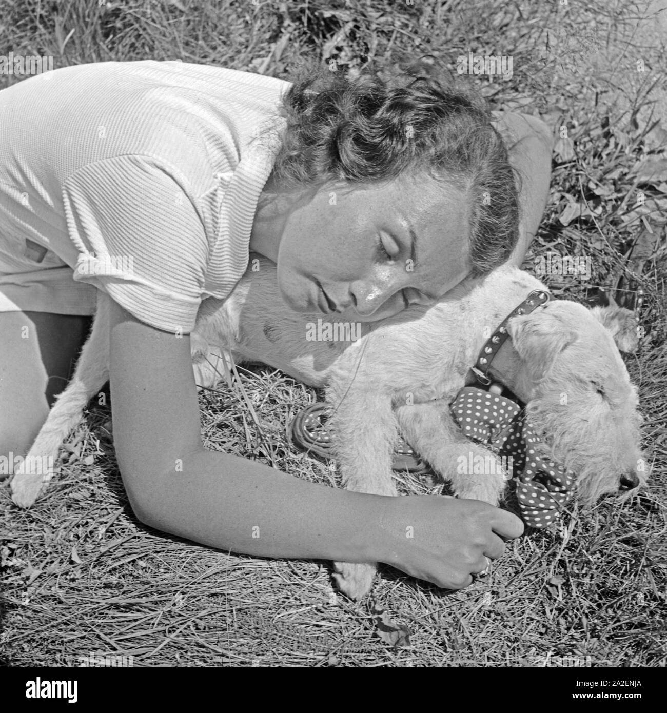 Eine junge Frau ist auf einer Wiese mit ihrem Foxterrier eingeschlafen, Deutschland 1930er Jahre. A young woman and her fox terrier pup fell asleep in a lawn, Germany 1930s. Stock Photo