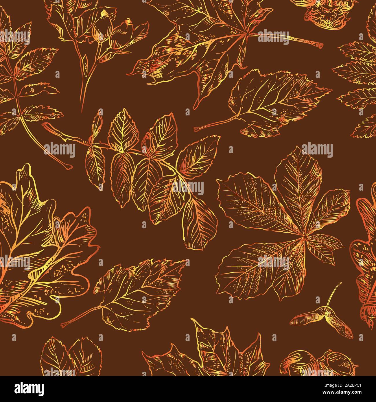 Vector autumn hand drawing seamless pattern with horse chestnut, hawthorn, rose hip, Rowan leaves outline on the brown background. Fall line art of fo Stock Vector