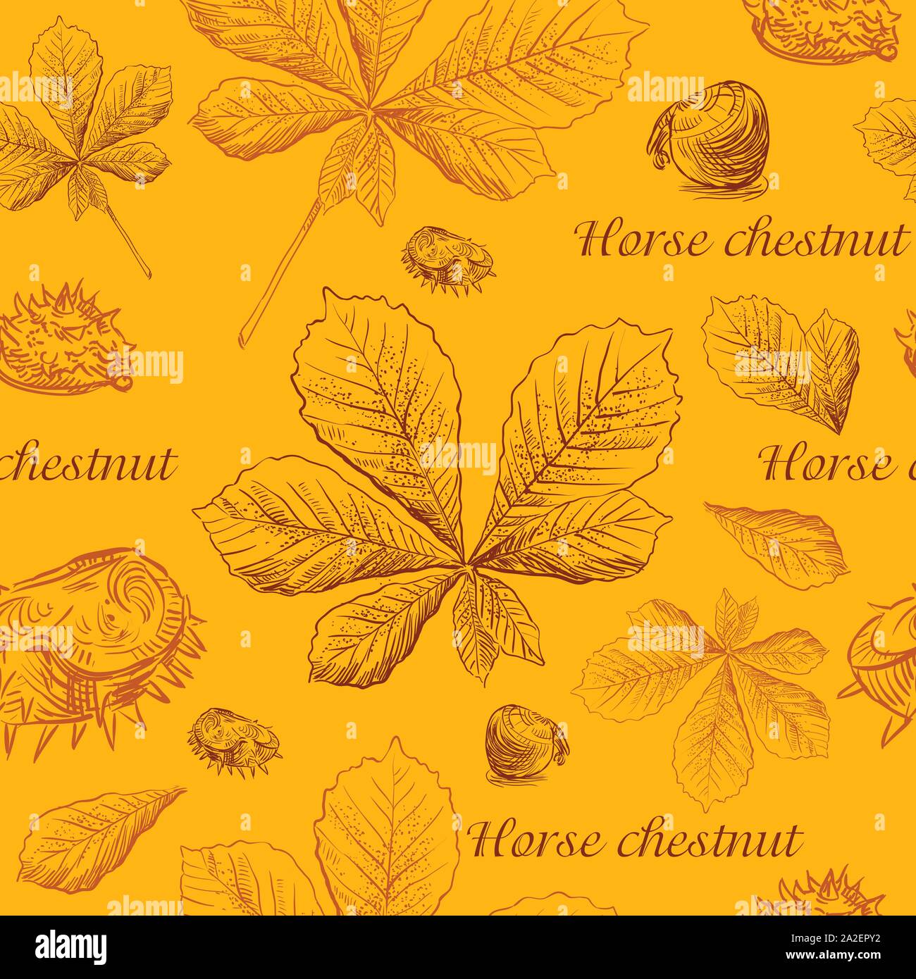 Vector autumn hand drawing seamless pattern with brown color horse chestnut  leaves and seeds outline on the orange background. Fall line art of folia Stock Vector