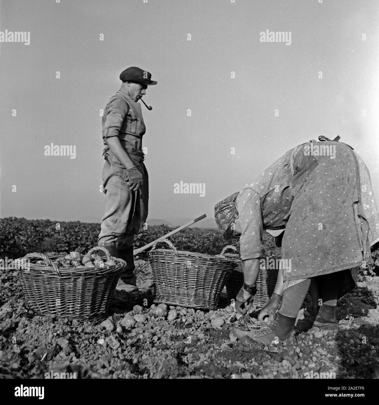 Farming plough 1930s hi-res stock photography and images - Alamy
