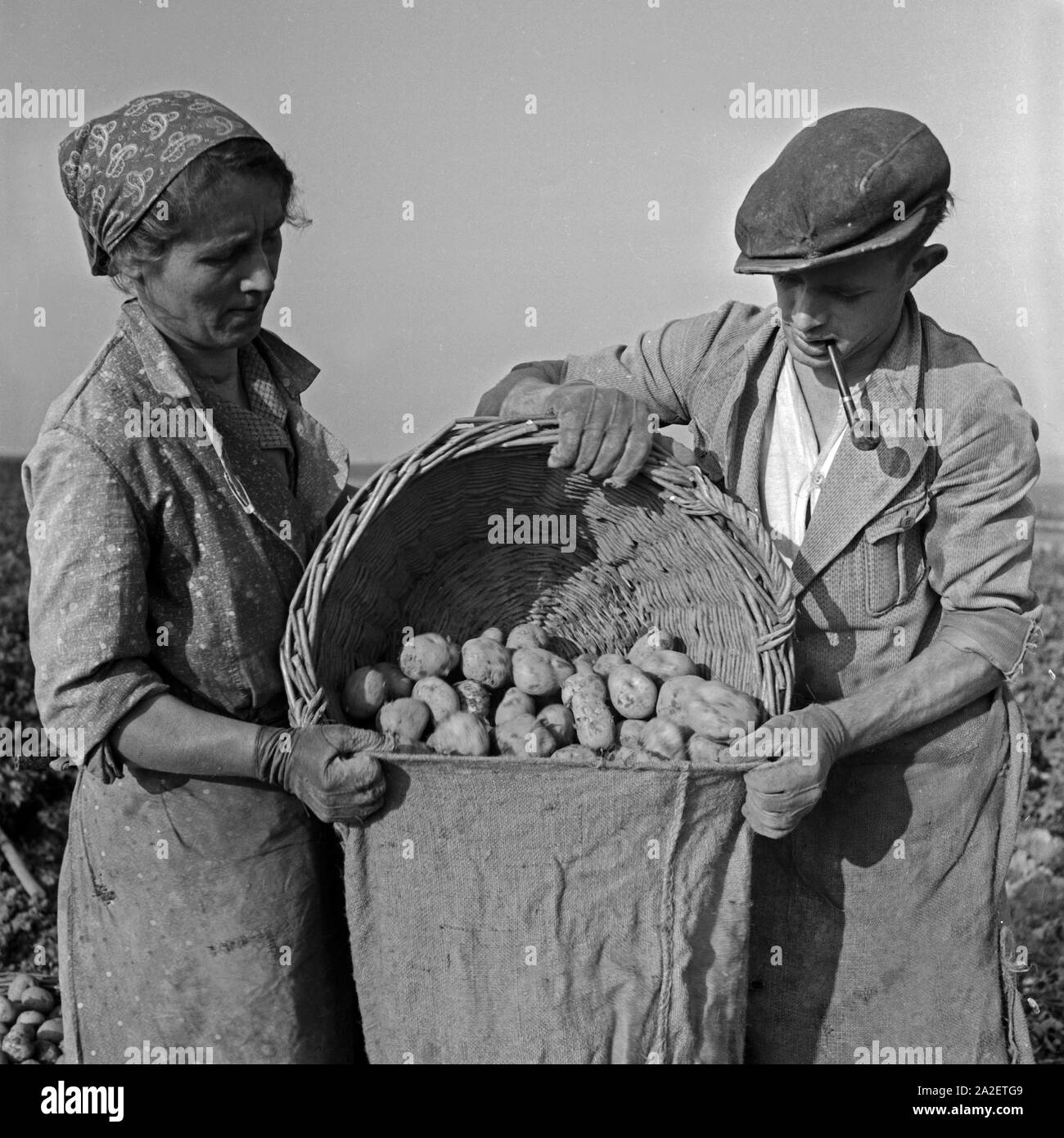 Farming plough 1930s hi-res stock photography and images - Alamy