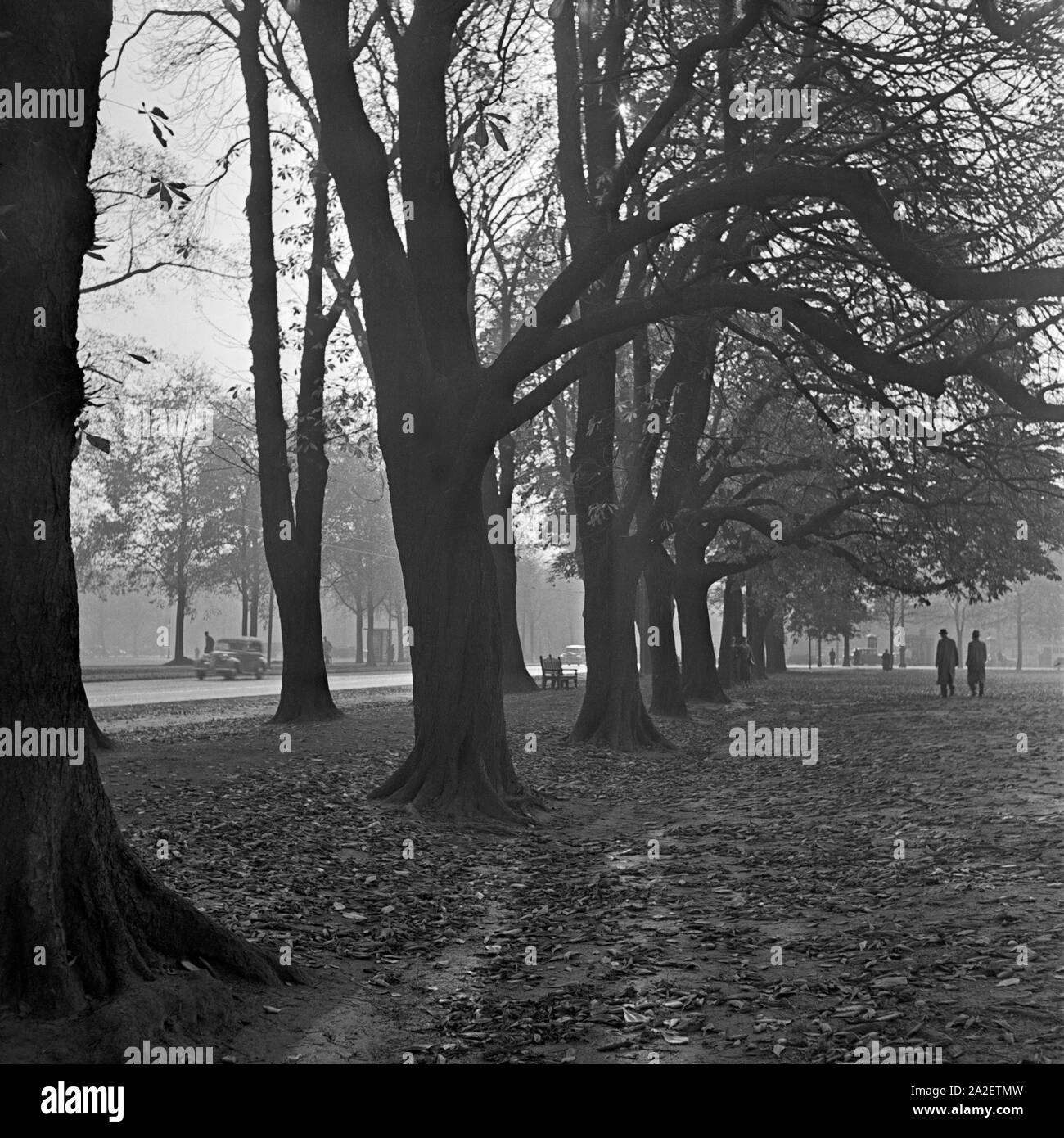 Langsam kommt der Herbst in die deutschen Städte, Deutschland 1930er Jahre. Slowly autumn comes to German cities, Deutschland 1930s. Stock Photo