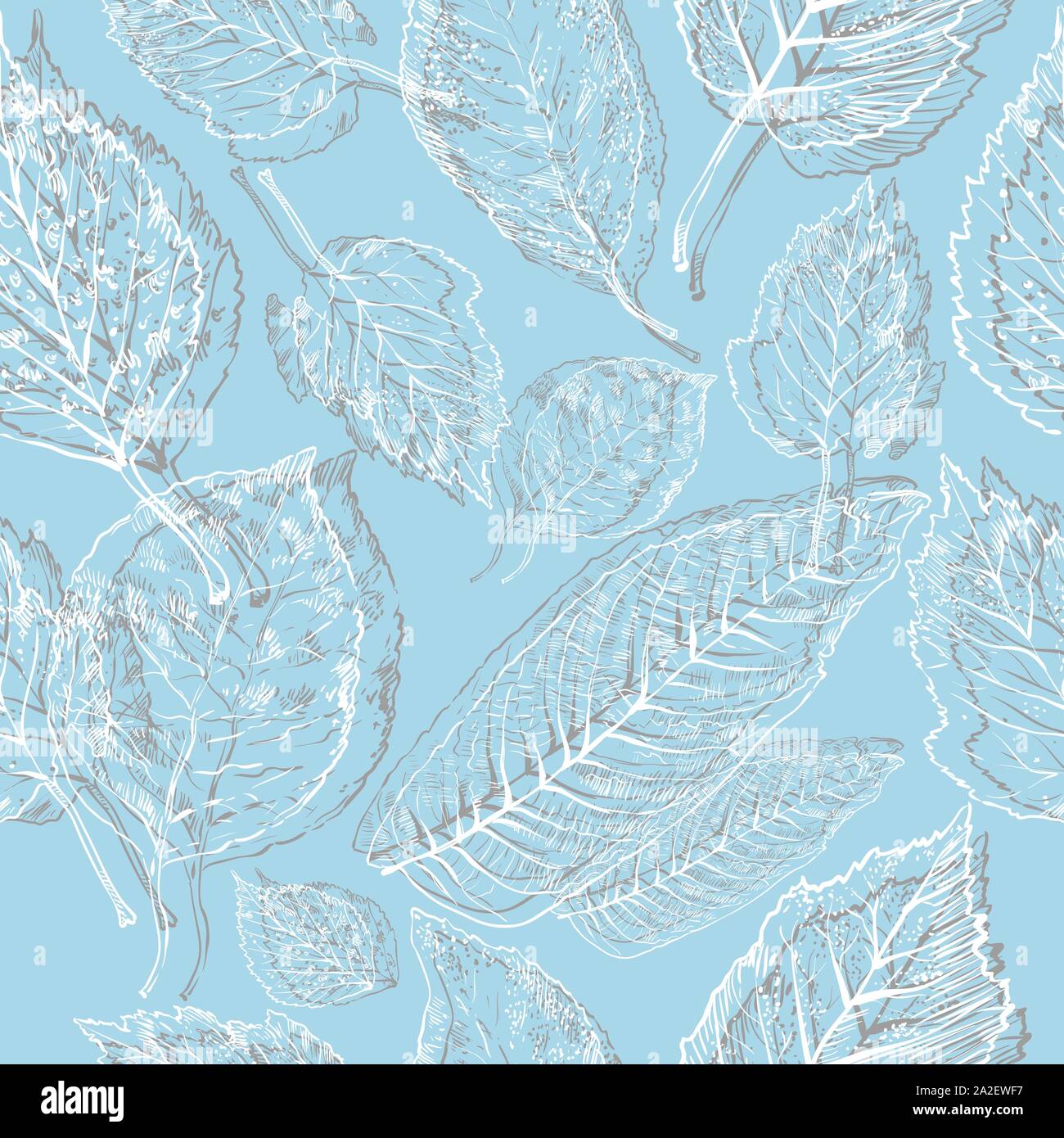 Vector autumn hand drawing seamless pattern with different leaves in ...