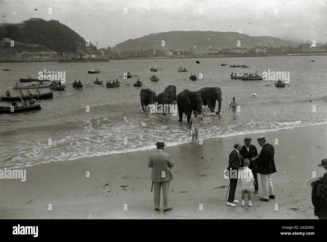 Elefantes del circo Kroner en la playa de la Concha (5 de 5) - Fondo Car-Kutxa Fototeka. Stock Photo