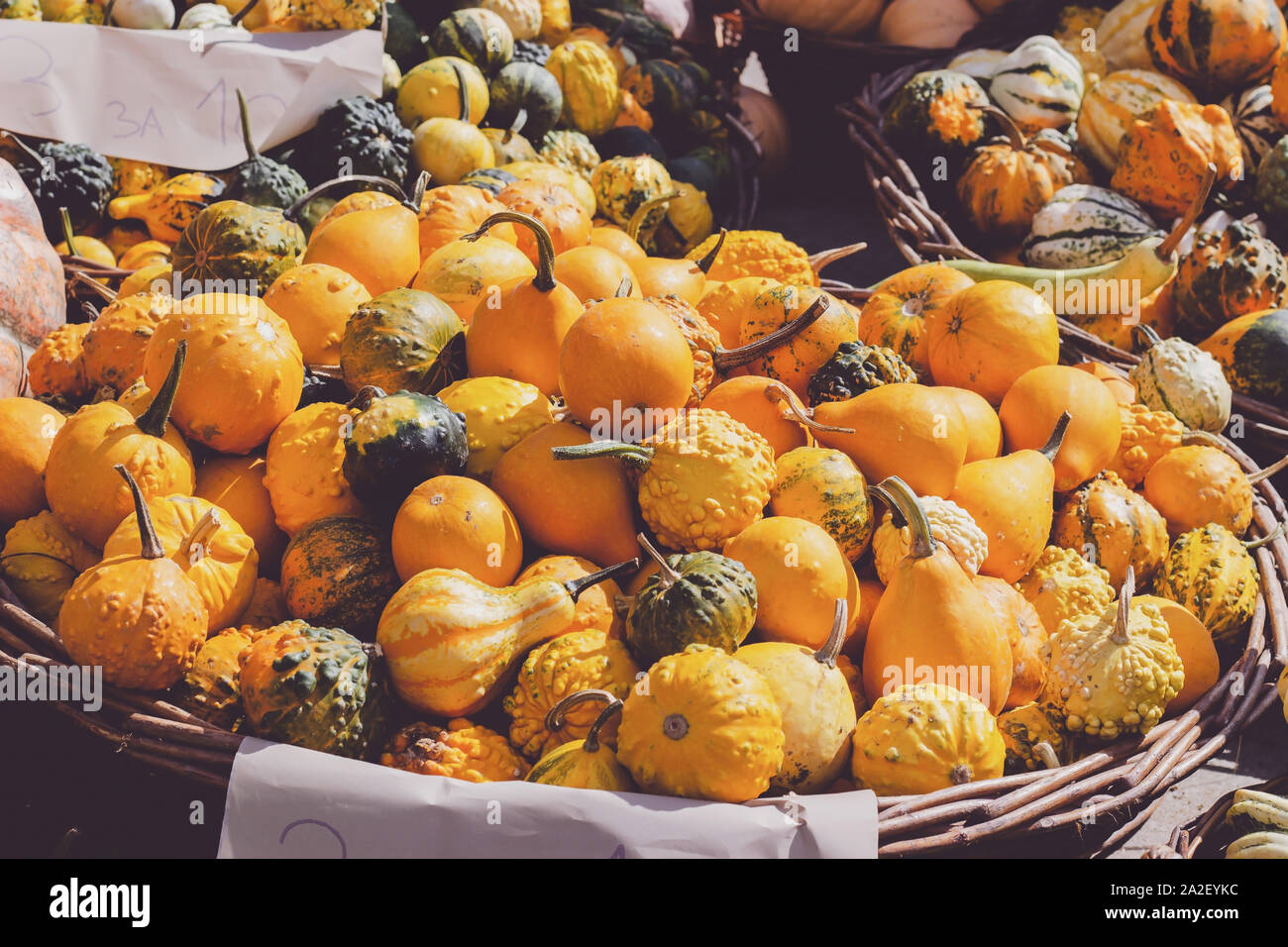 Decorative mini pumpkins and gourds in baskets on green market stand