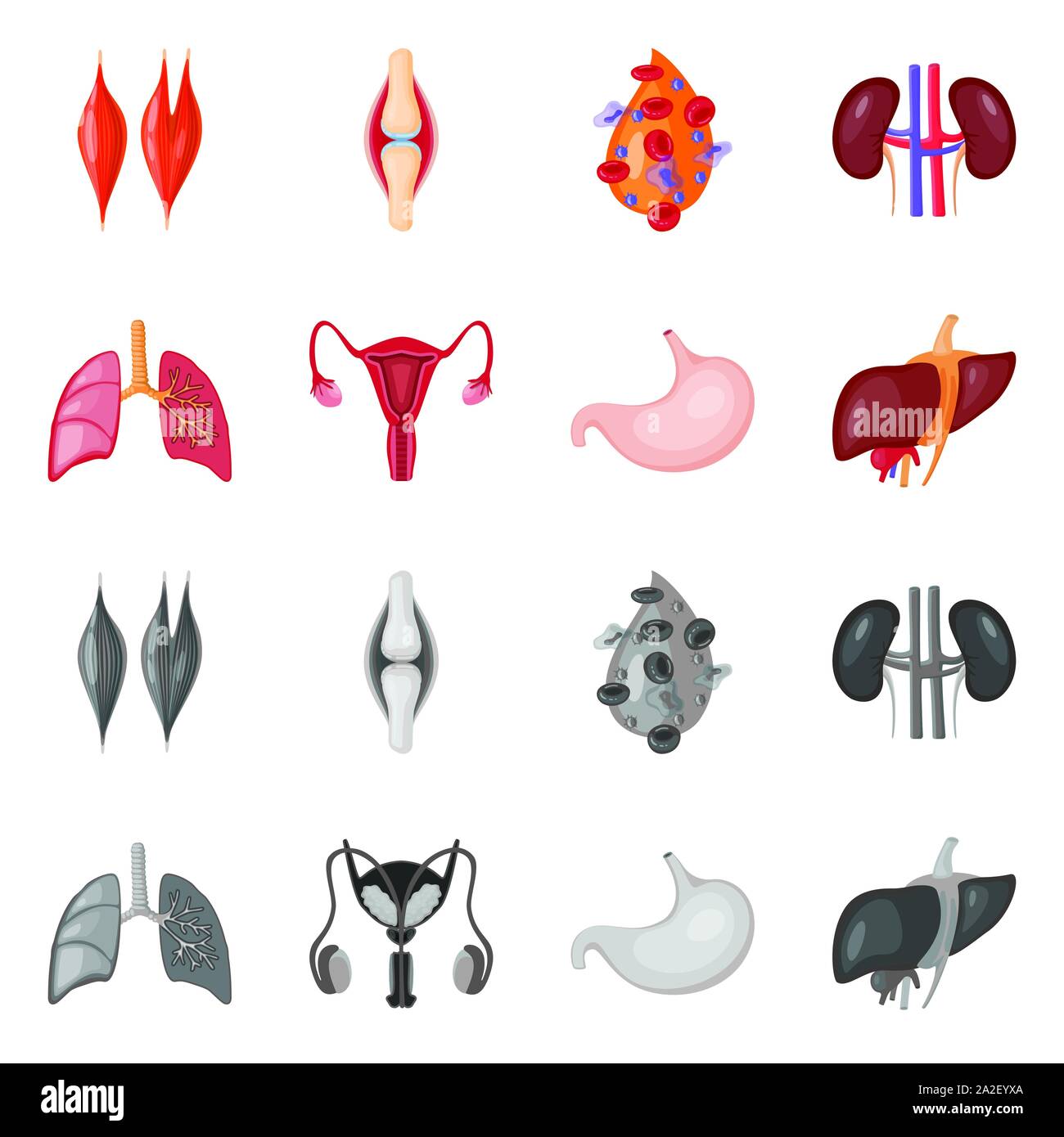 Isolated object of biology and scientific sign. Collection of biology ...