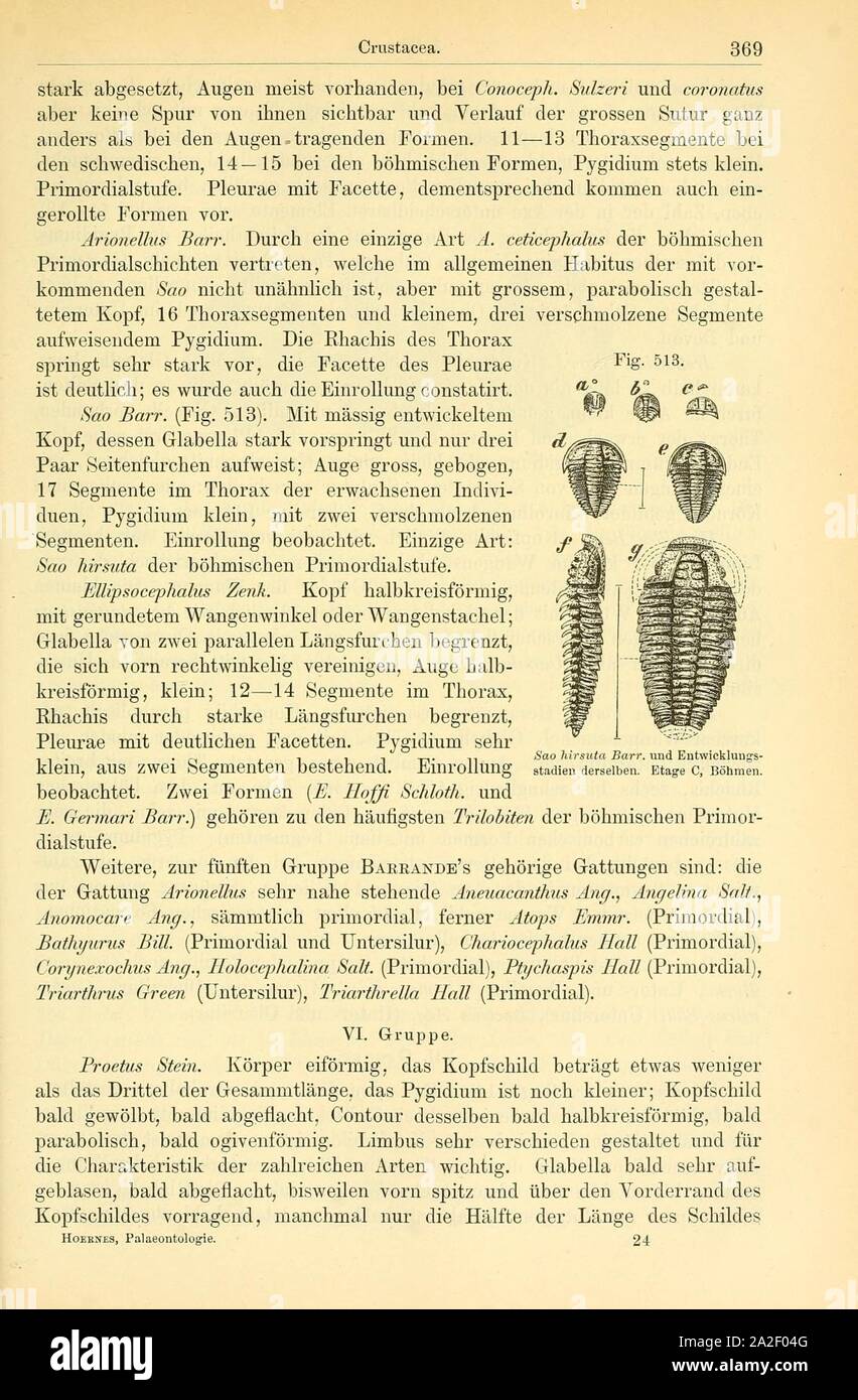 Elemente der palaeontologie (Page 369, Fig. 513) Stock Photo